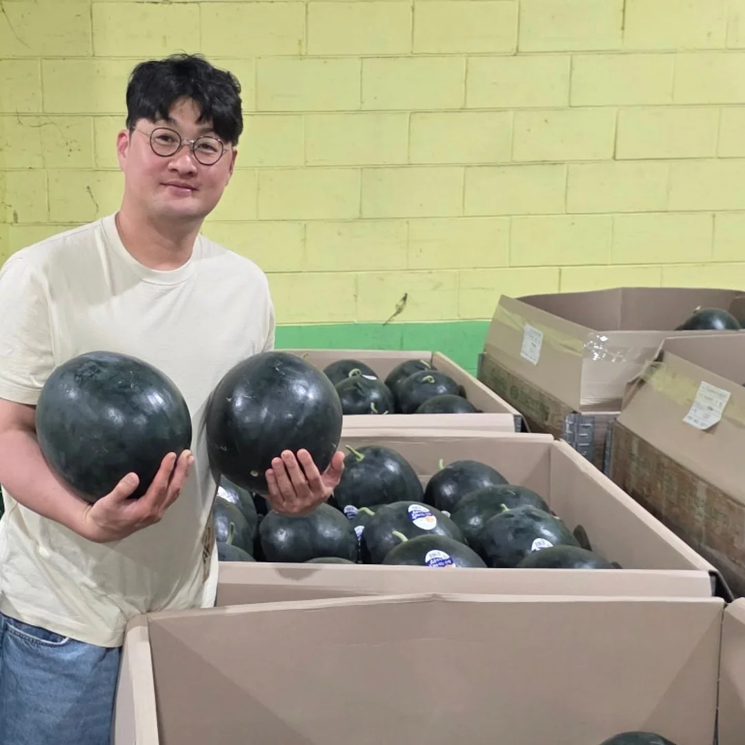 디하임 스노우 화이트 상부장
