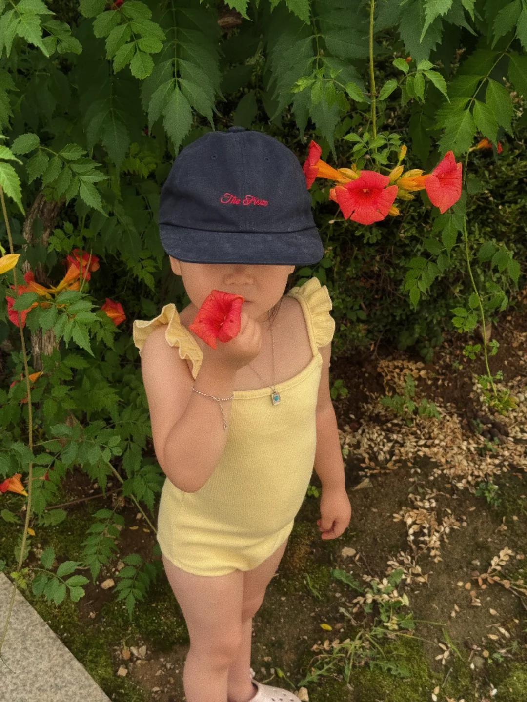 인디핑크 머리끈 세트 5