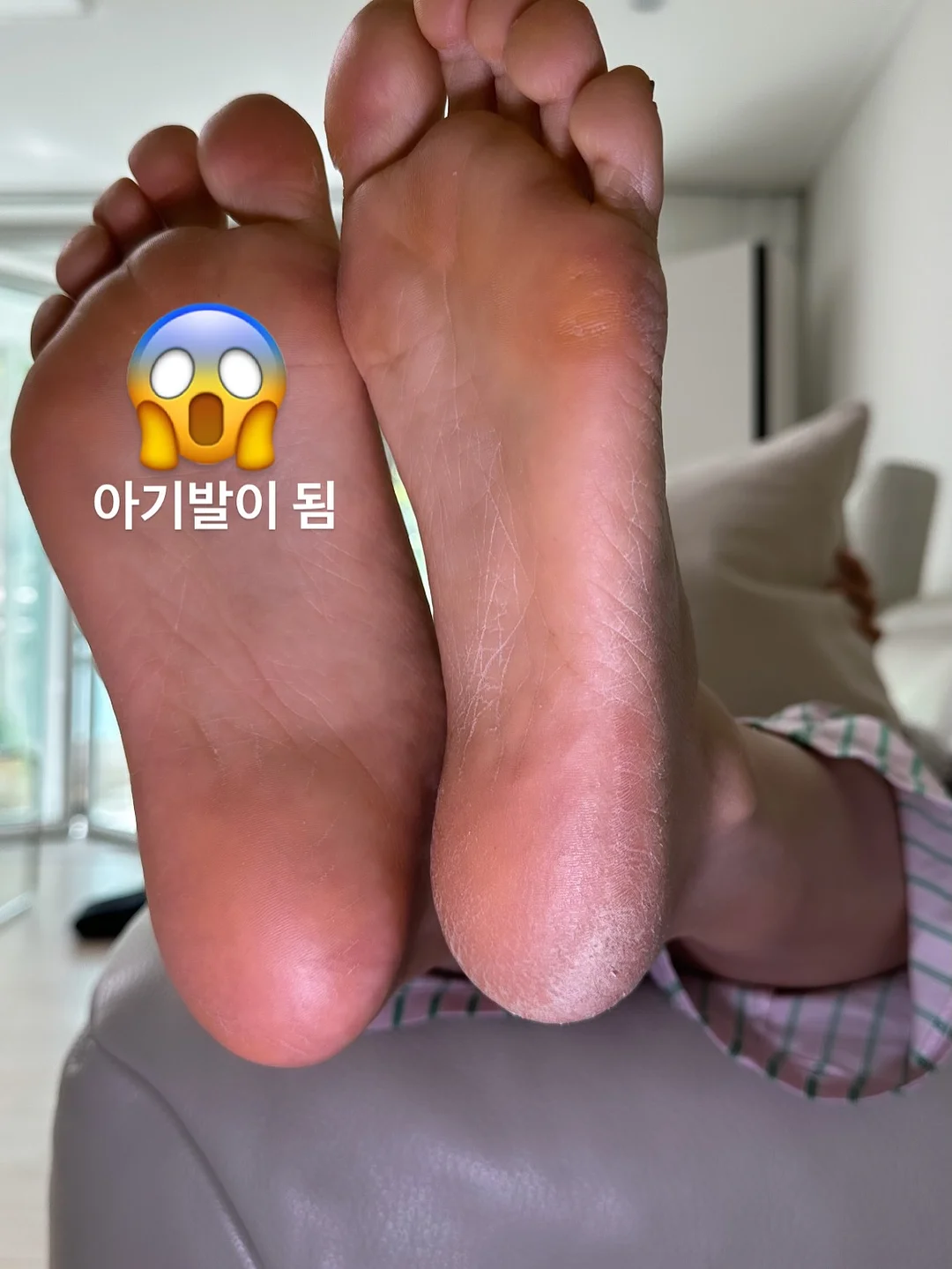 애플 초당옥수수 8
