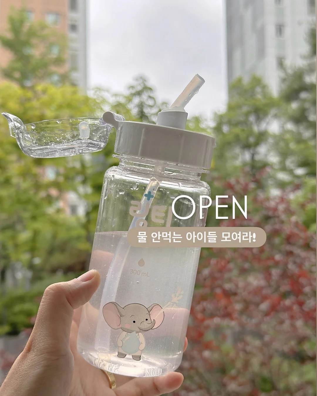 레몬디저트 1