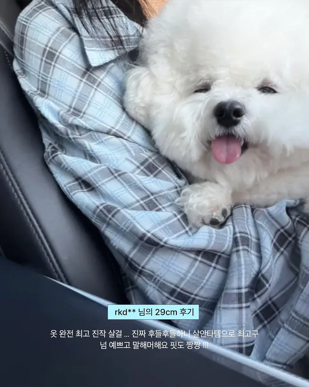 피지 각질 제거제 5