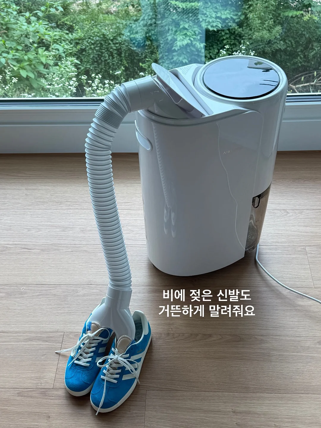 클래식 래쉬 익스텐션 12
