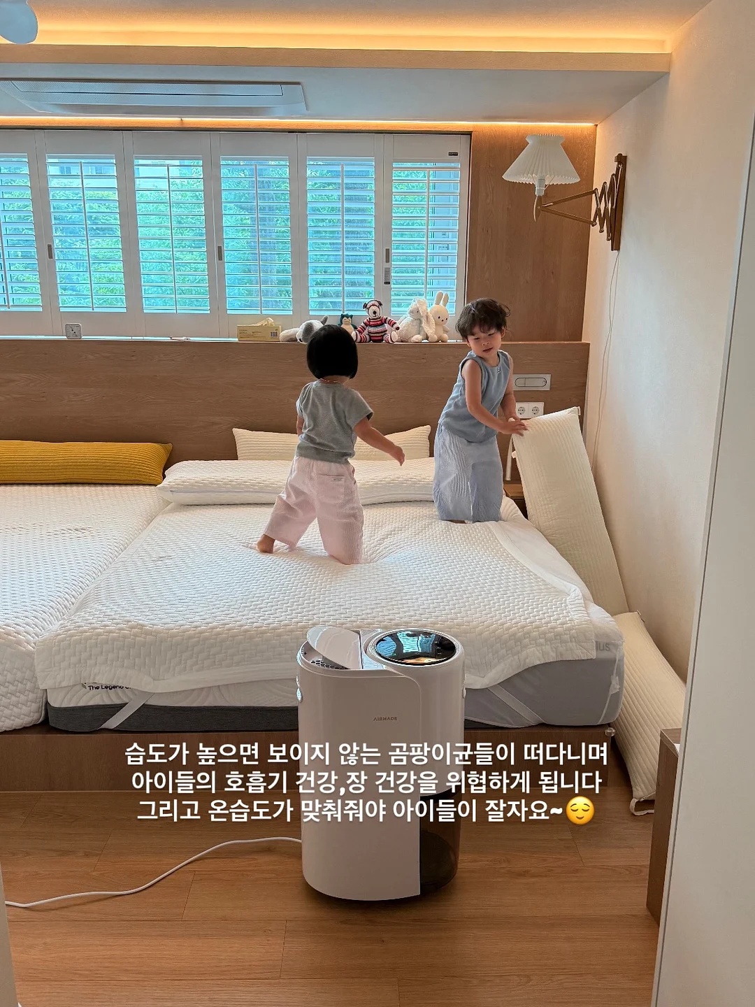 클래식 래쉬 익스텐션 19
