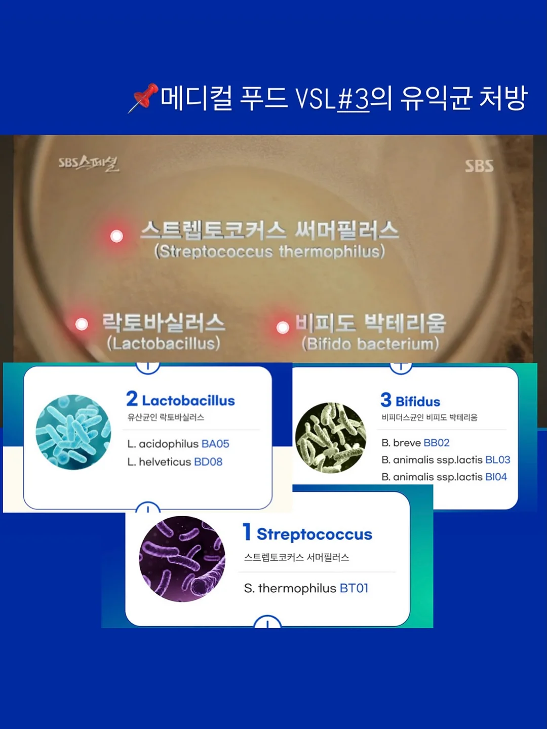 아크테릭스 노반 SL 트레일 러닝화 5