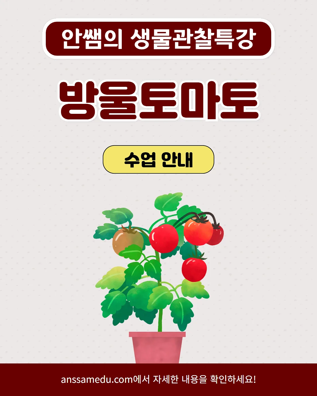 충전식 모기채 1