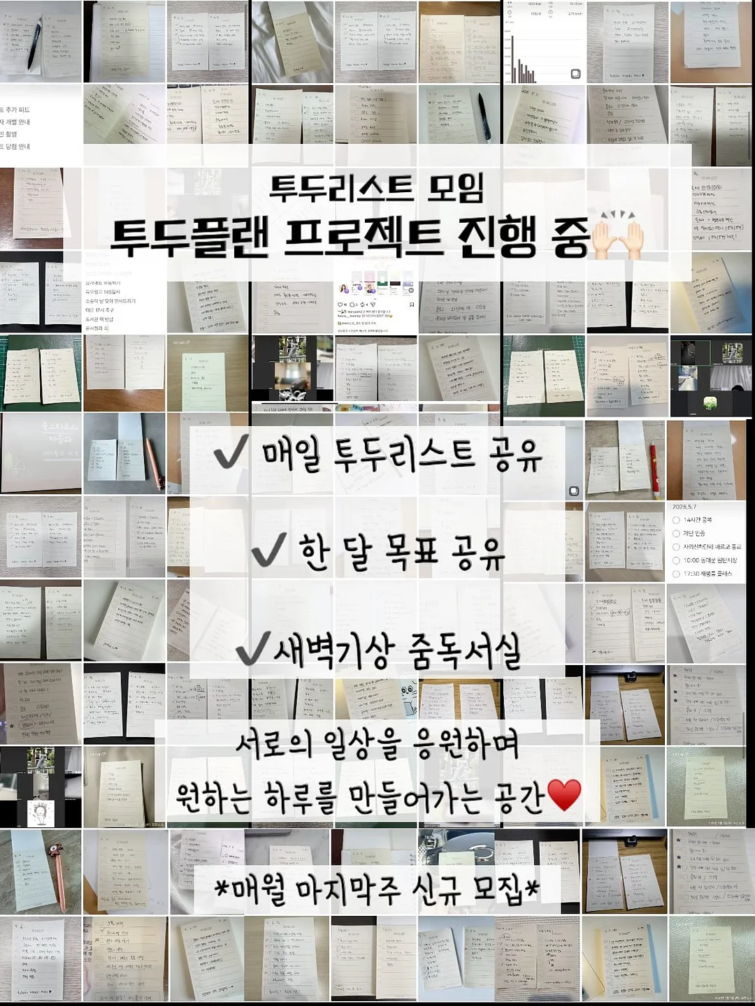 베이프X크록스 5