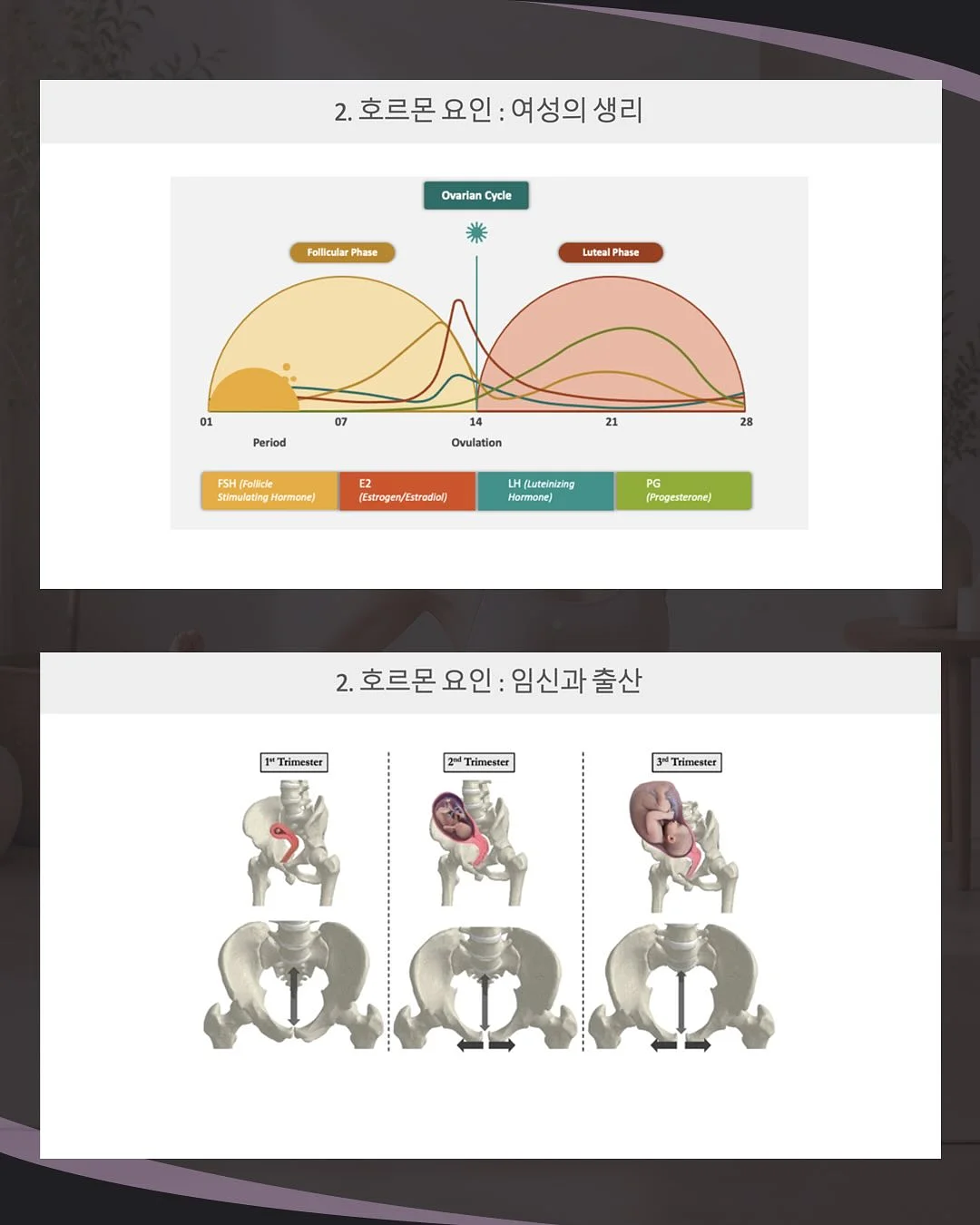 럭비스타일 상의 6