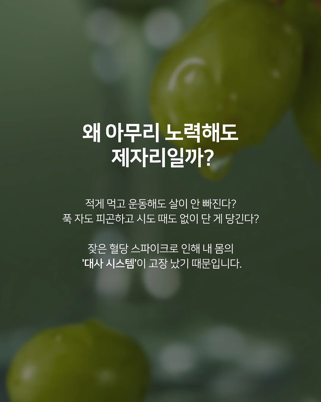 실내 정글짐 2
