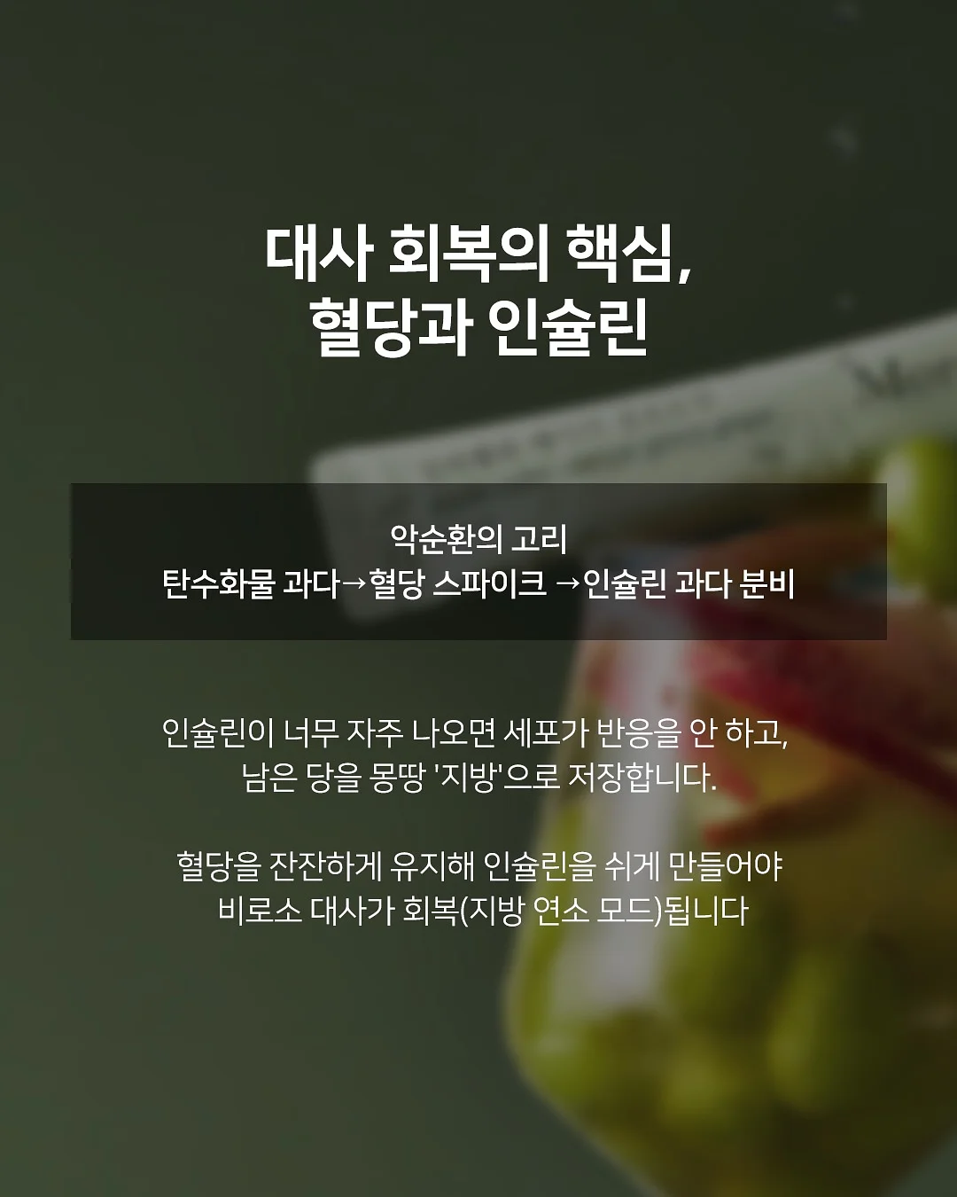 실내 정글짐 3