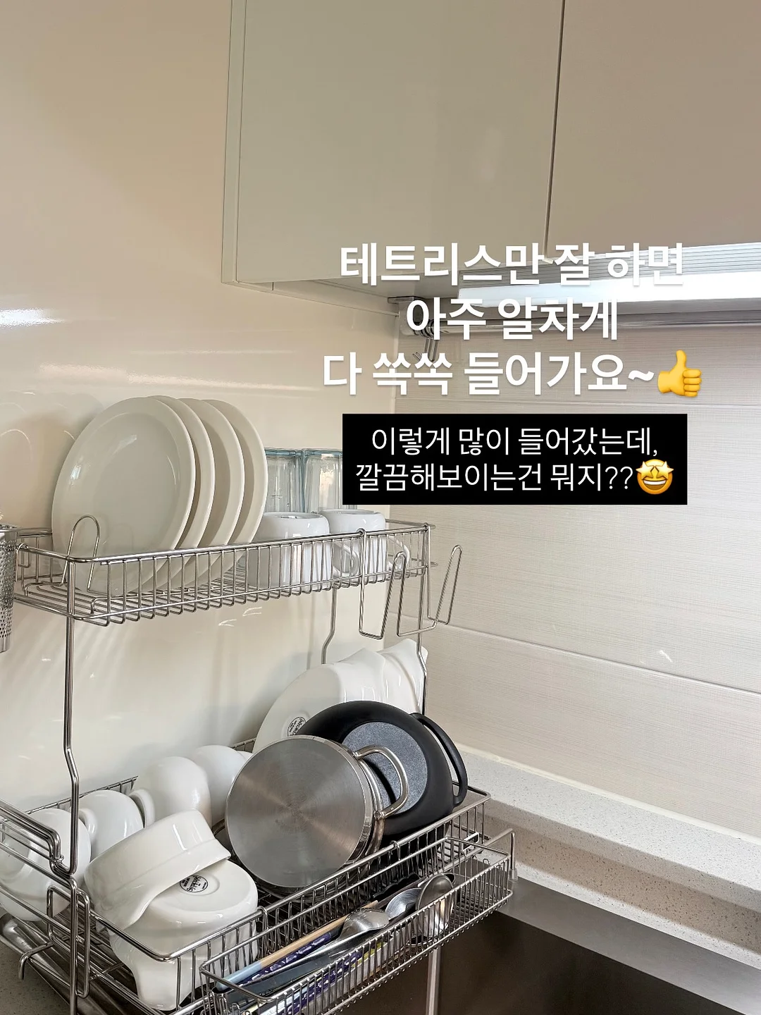 포브젤 베타 mc60 12