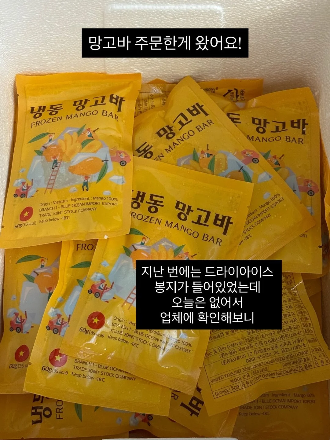 블라우스 2