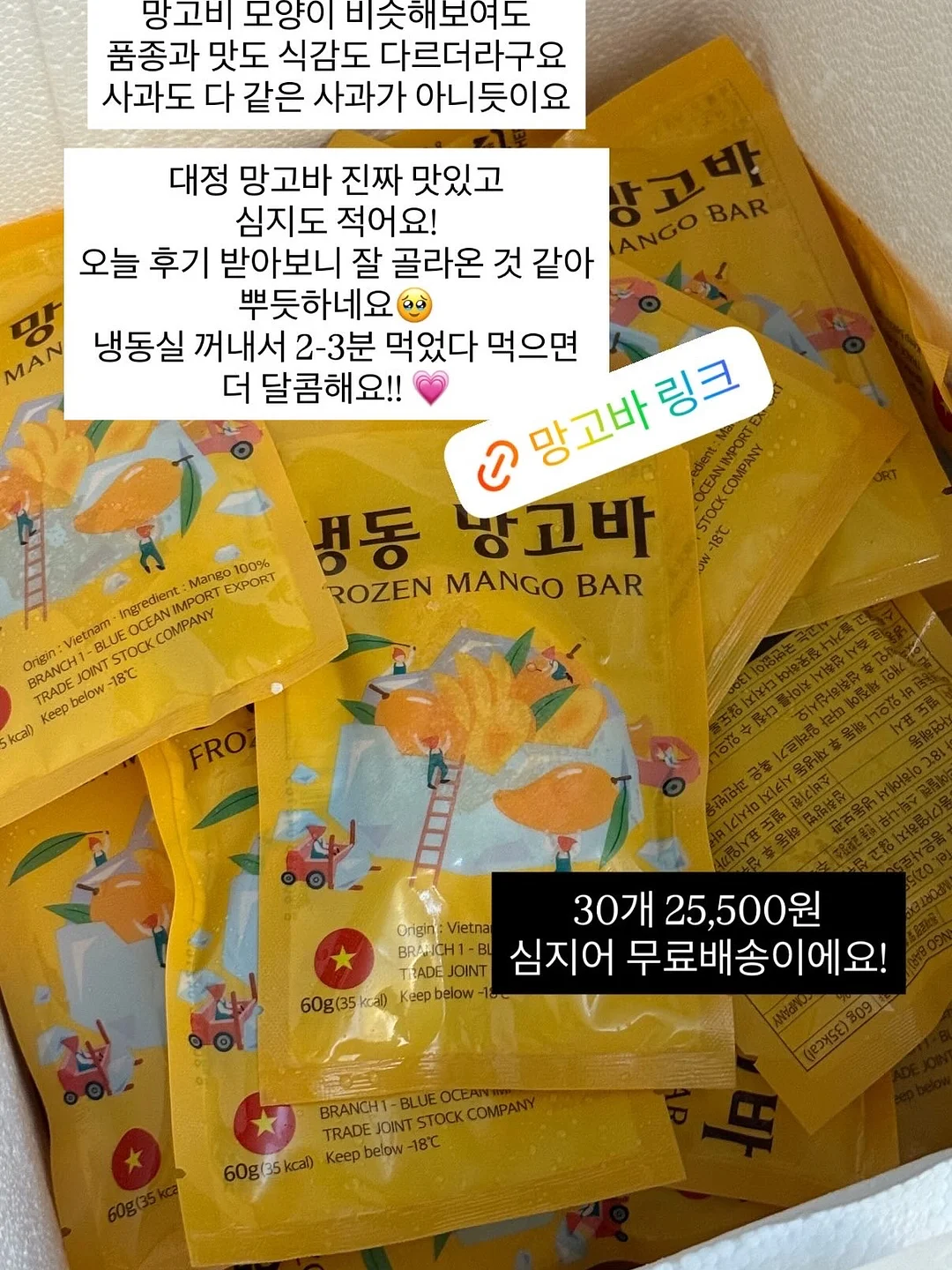 블라우스 8