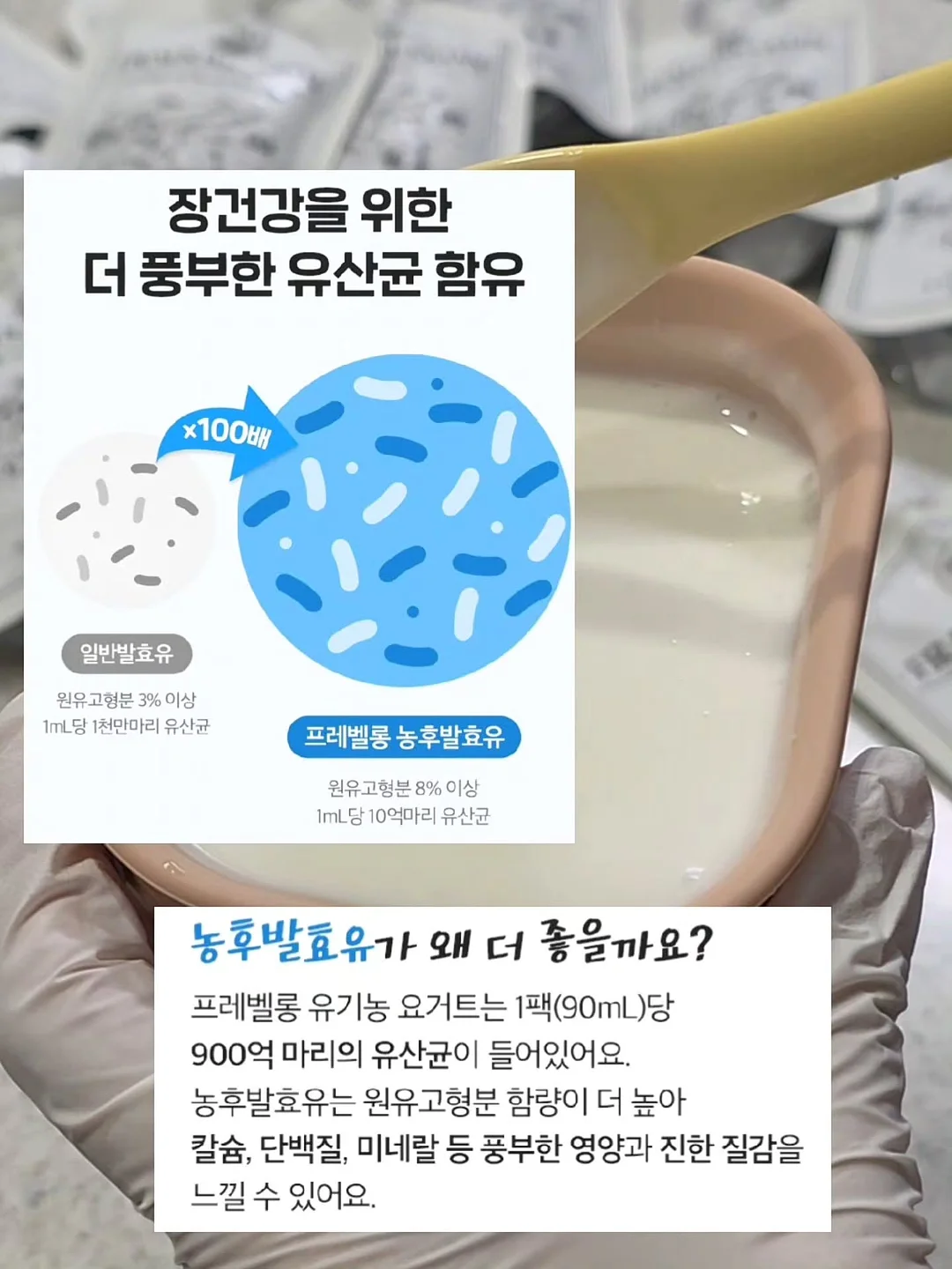 래빗나시티 13