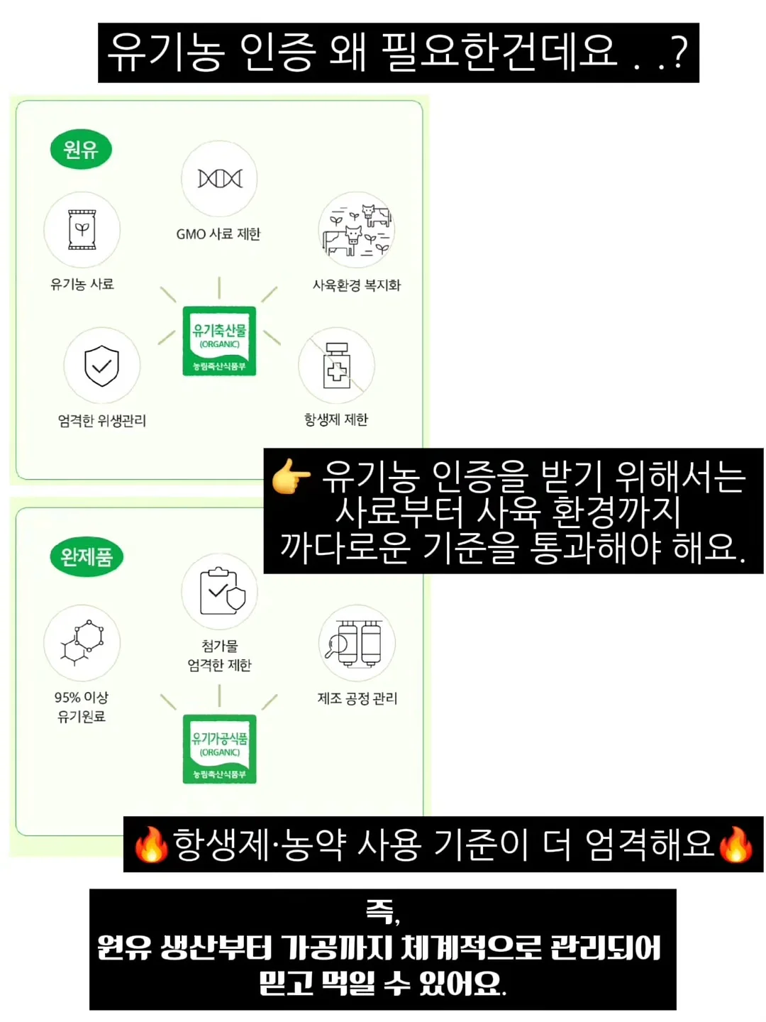 래빗나시티 10