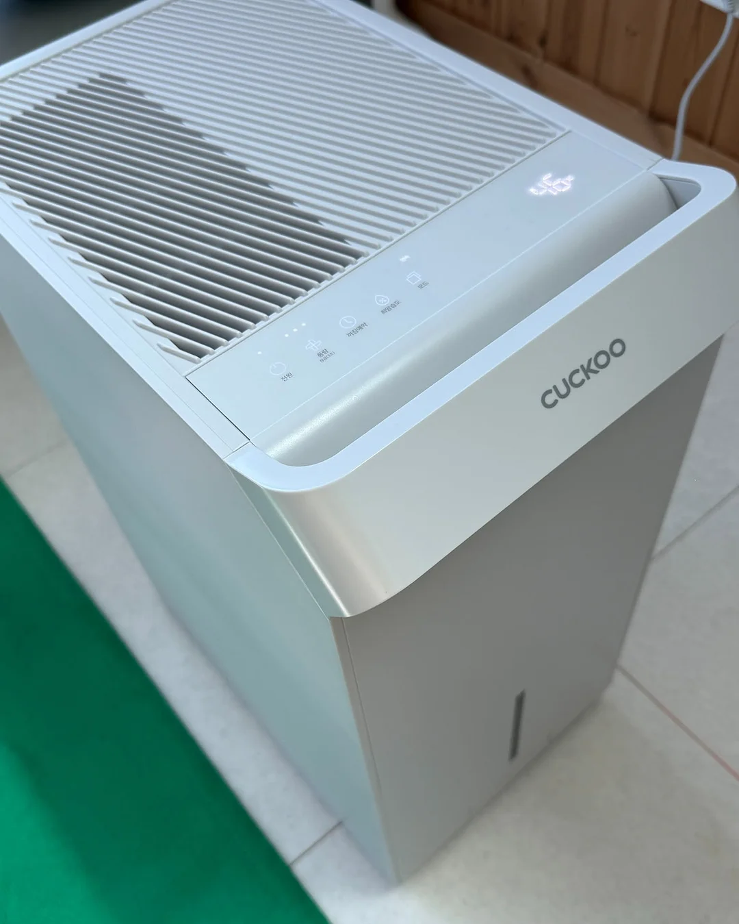 티셔츠 5