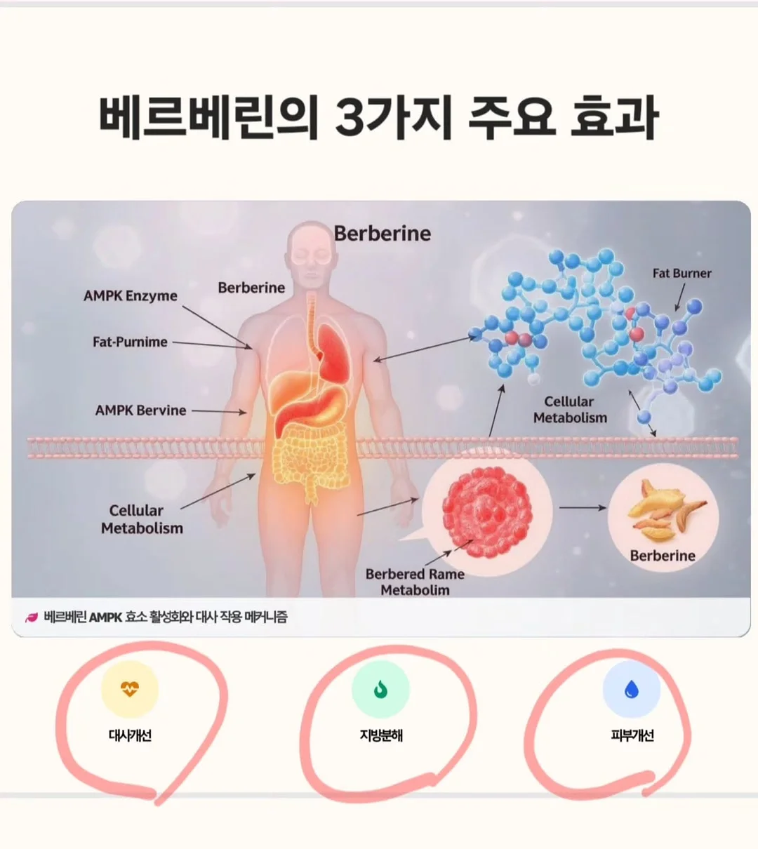 헤어 컬러 치크 1