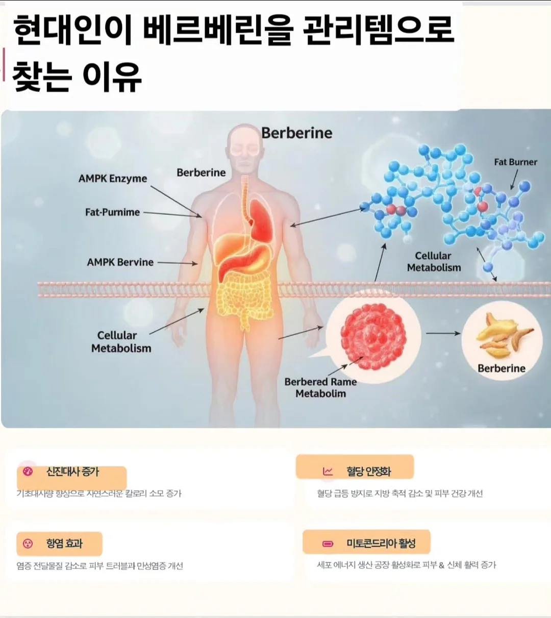 헤어 컬러 치크 5