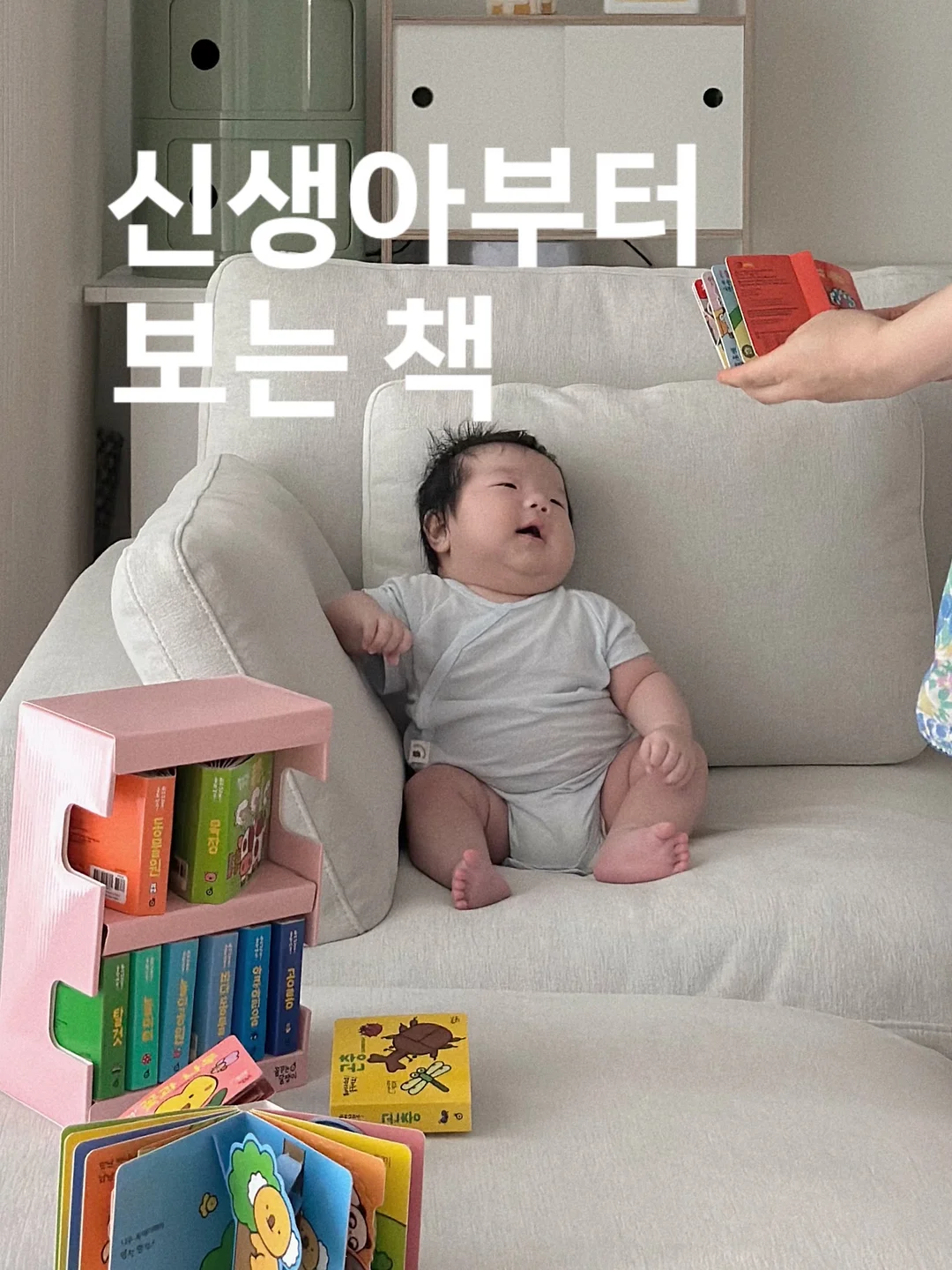 타임리스 템프라뇨 레드와인 1