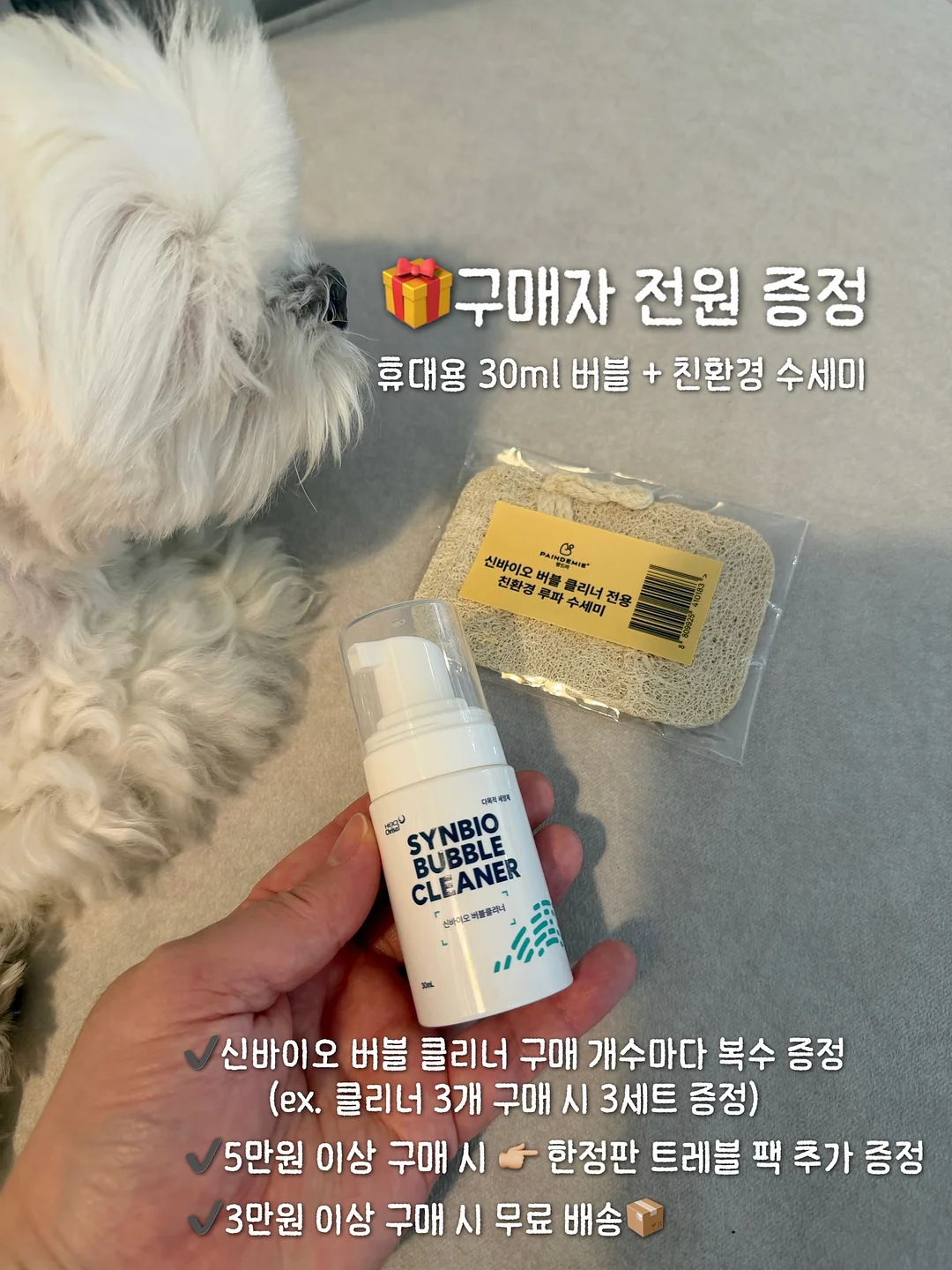 요이삭스 양말 14