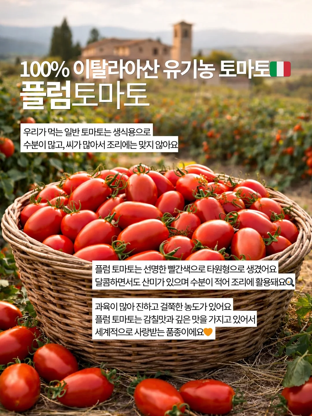 댕스소셜클럽 지렁이 댄스 스프레이 9