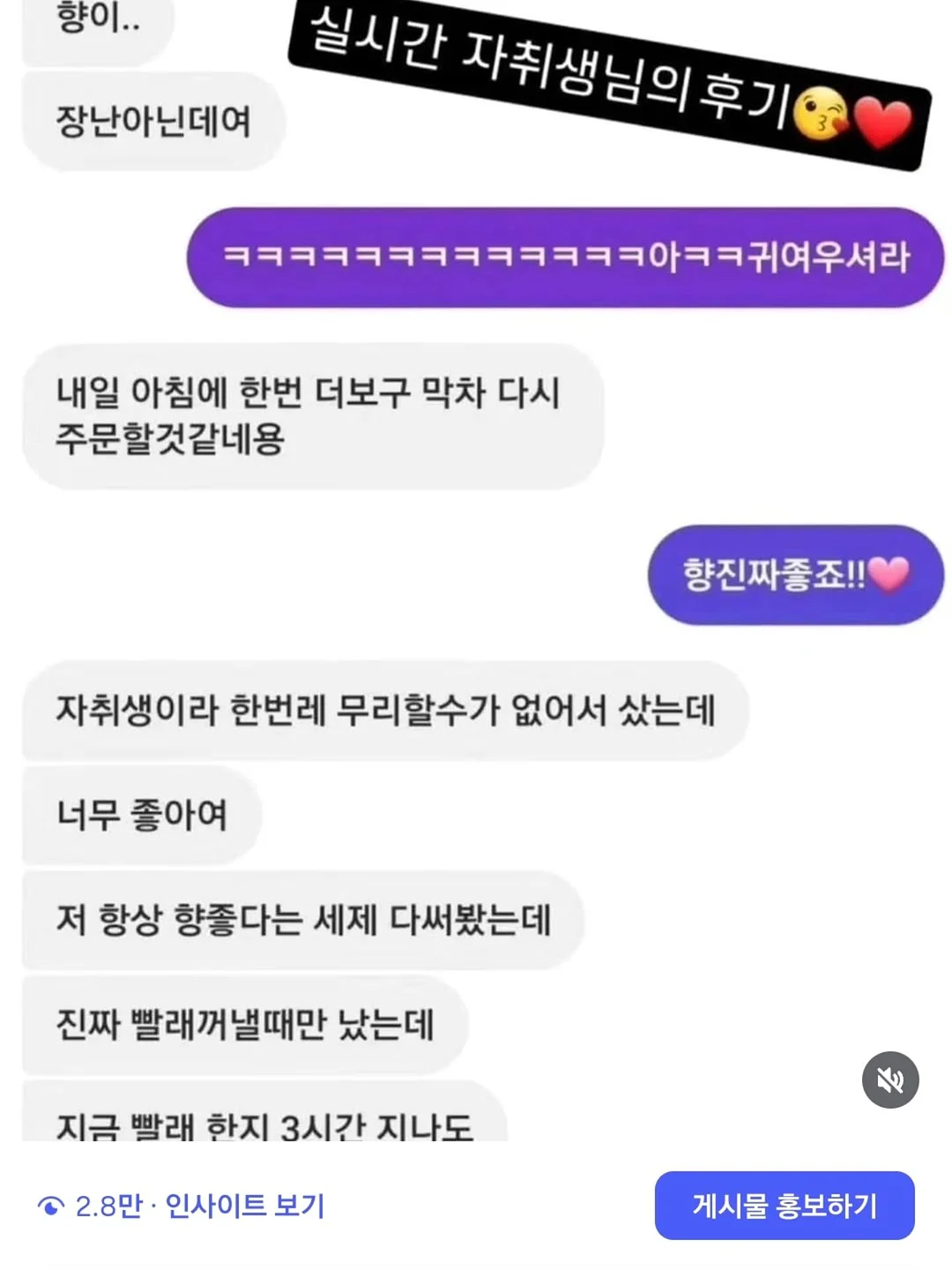 레몬코어 코디 5