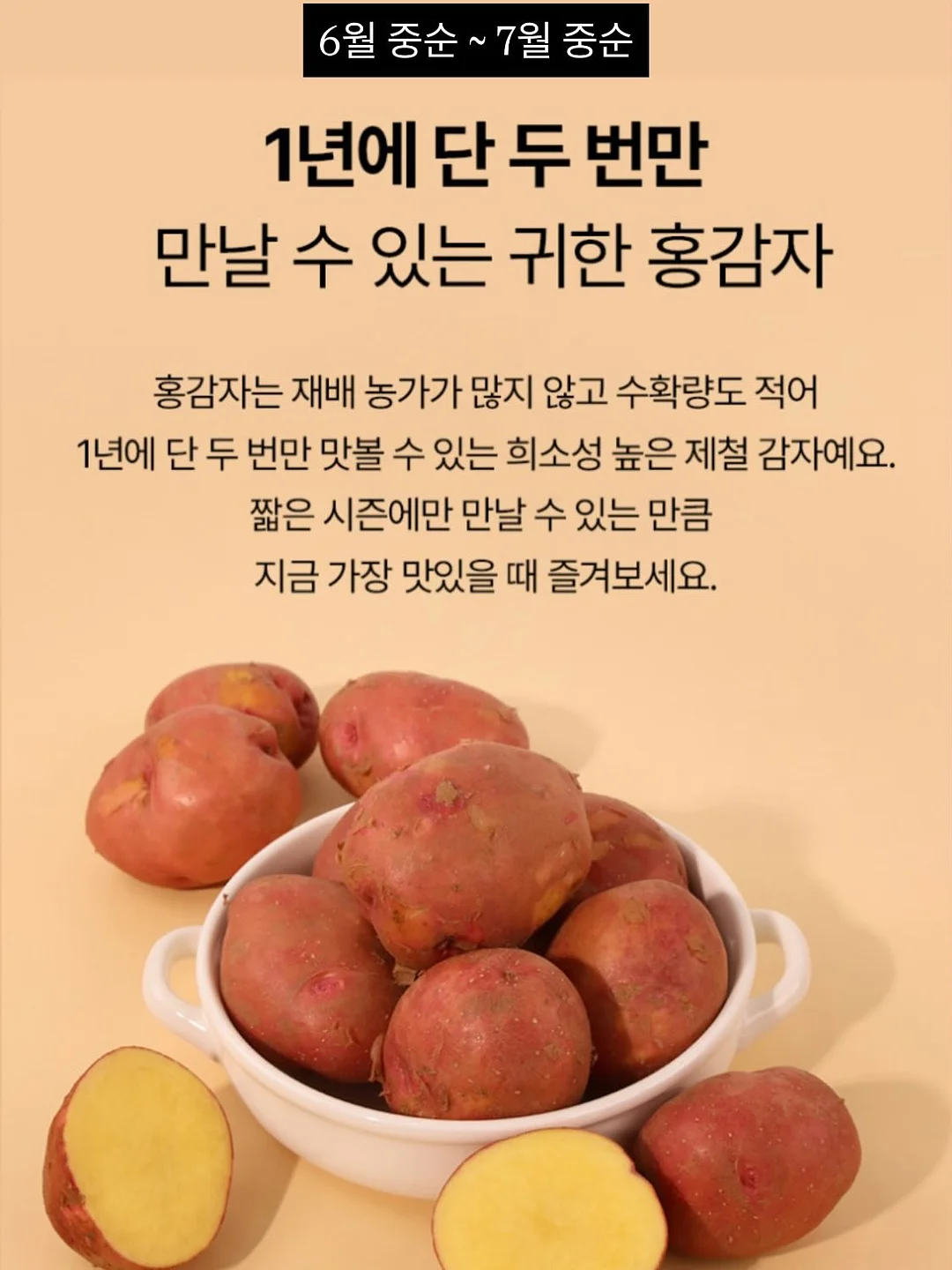 루피 타투 스티커 5