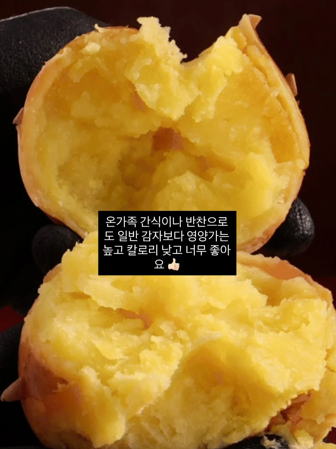 루피 타투 스티커 6