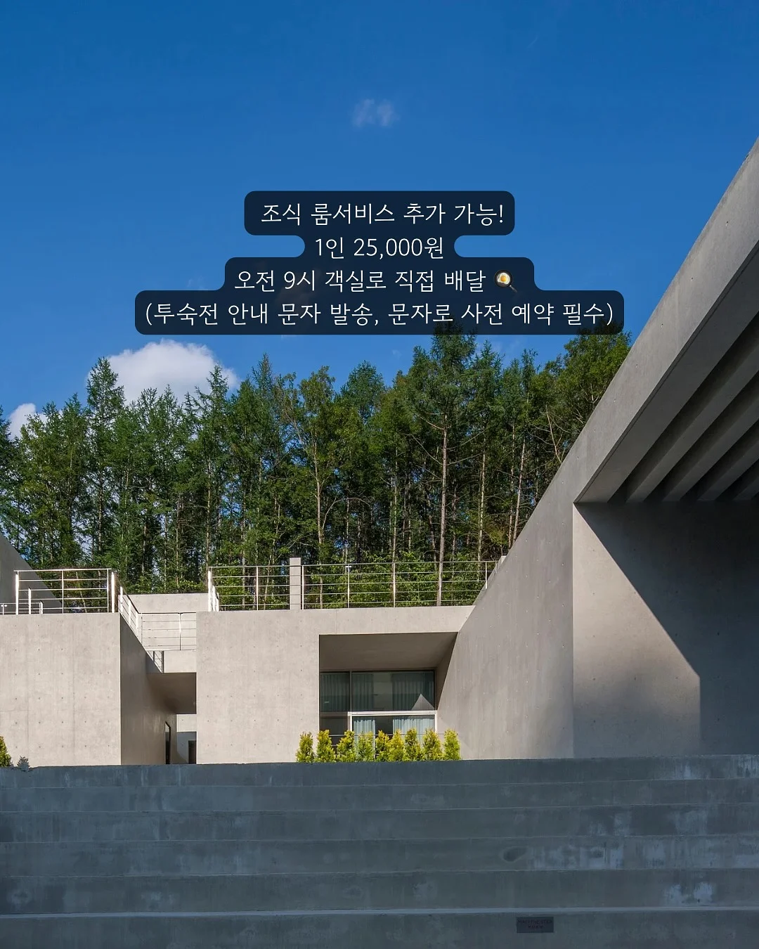 접이식 캐리어 19
