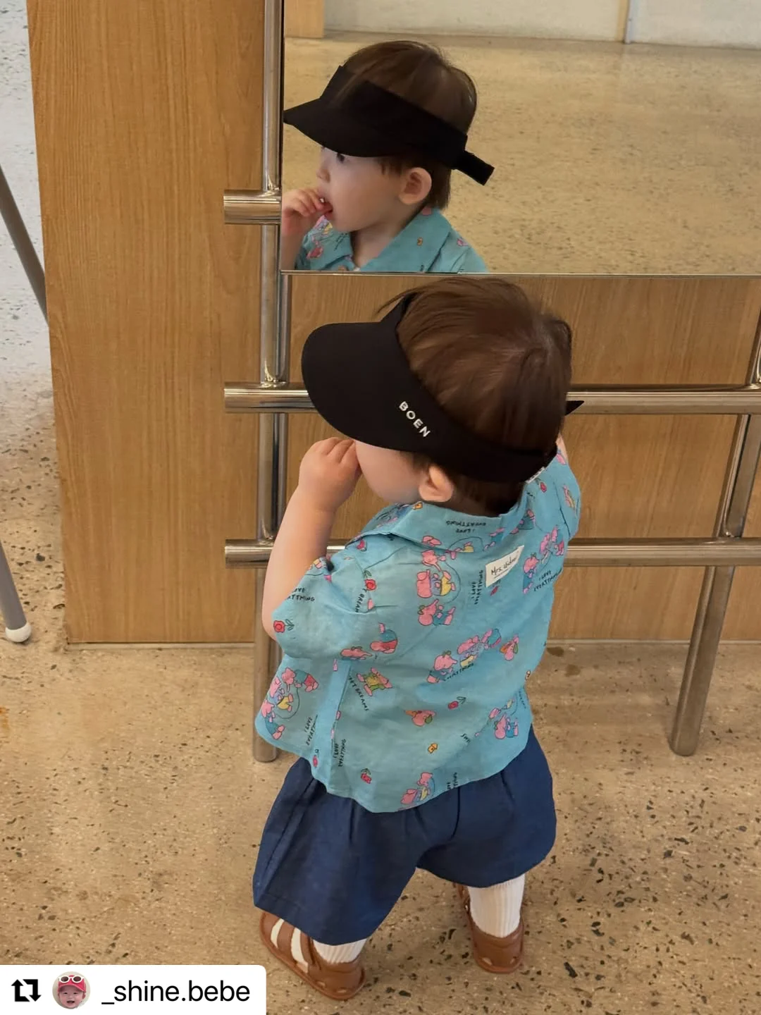 지지미고쟁이