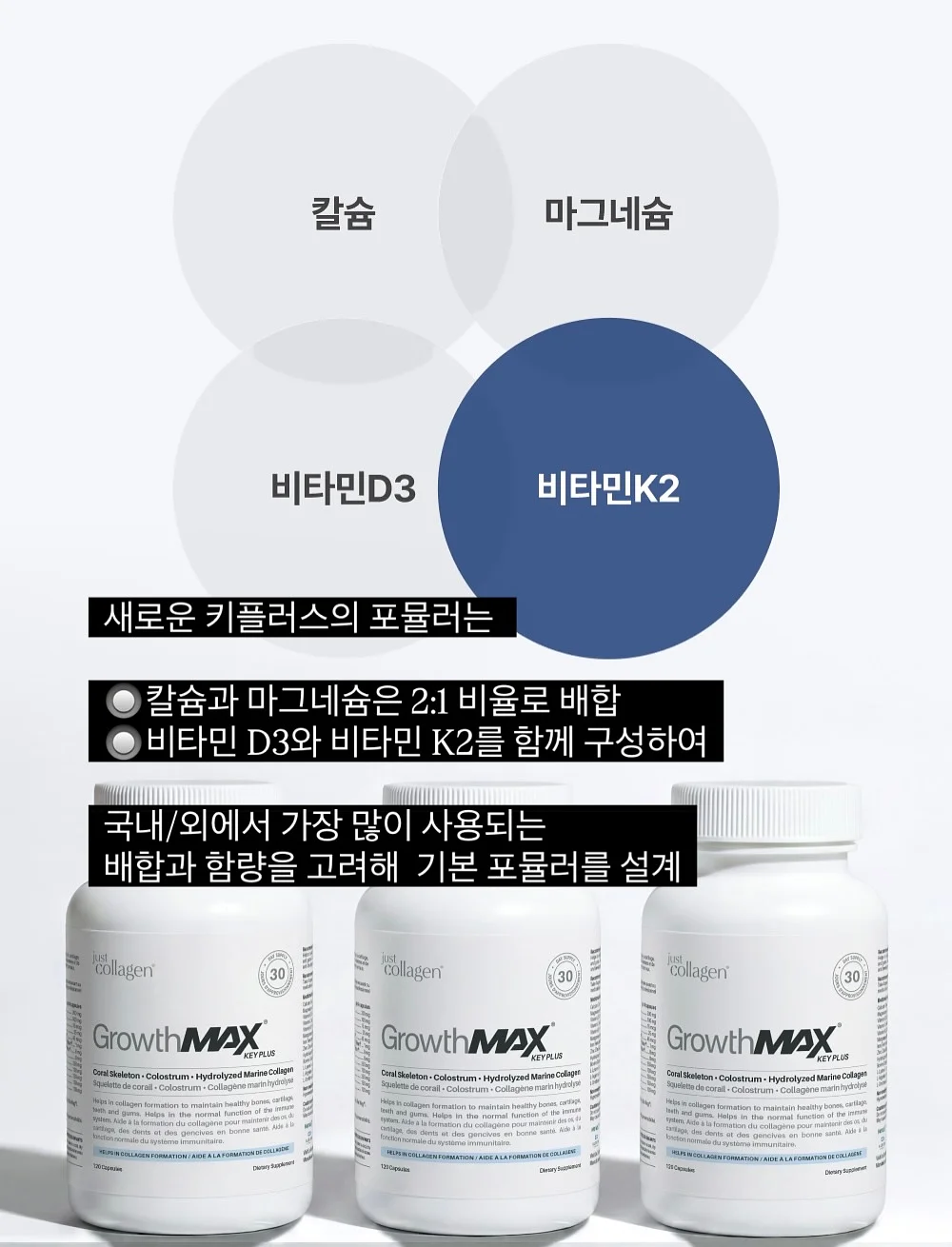 바사삭 애견 먹태 16