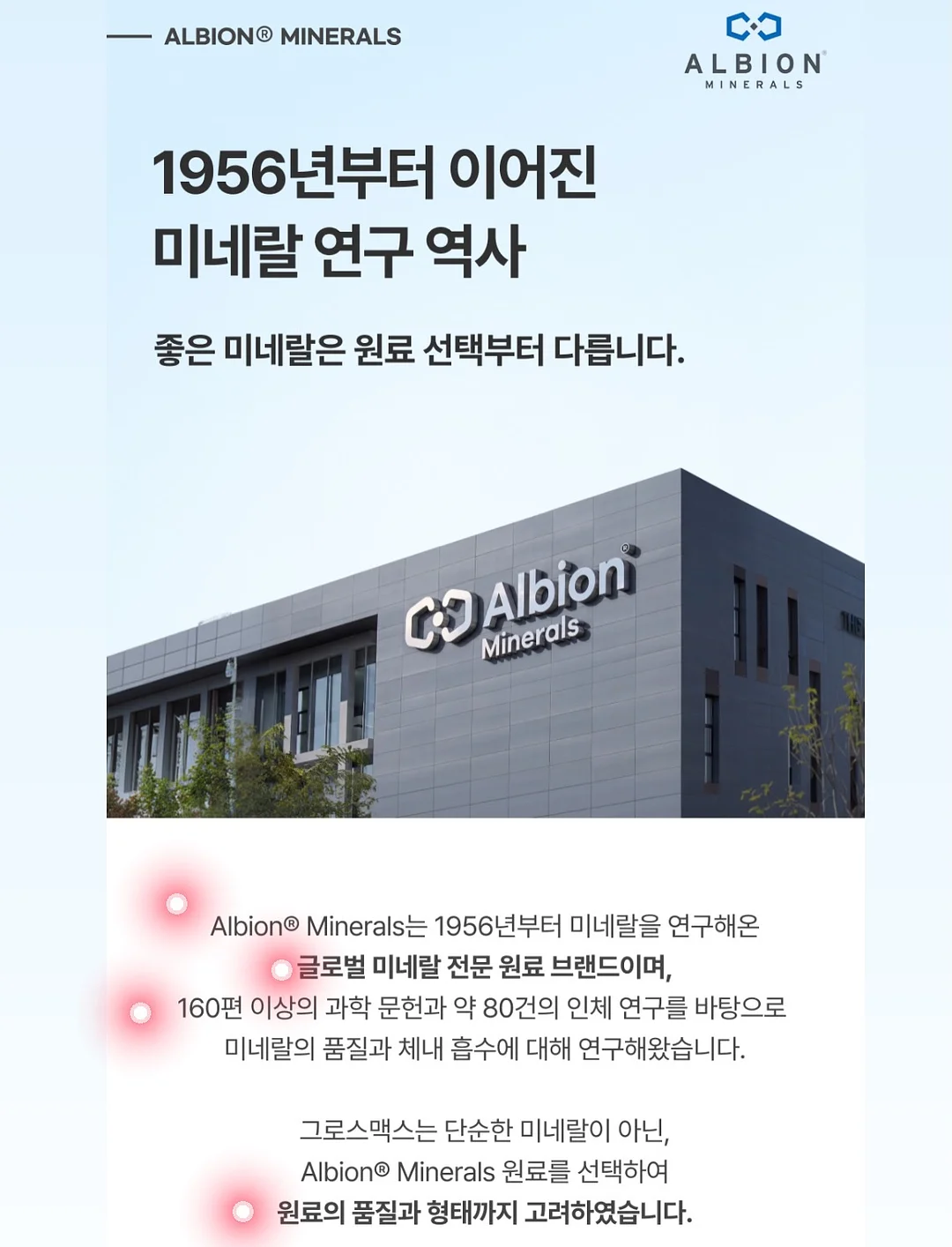바사삭 애견 먹태 17