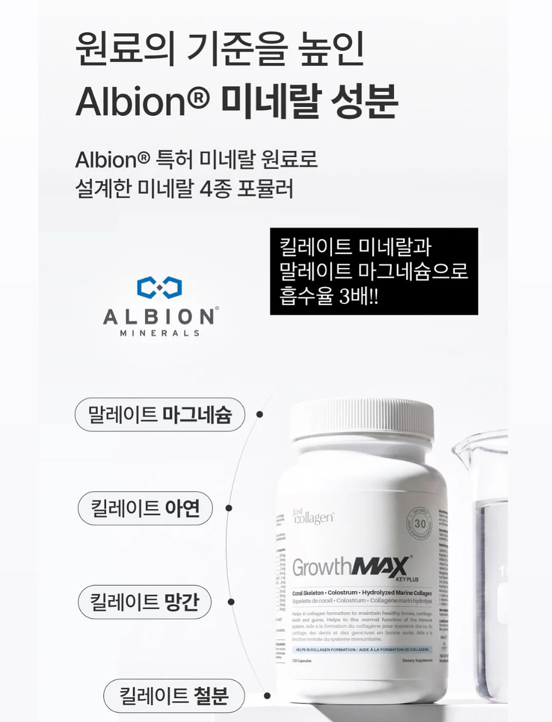 바사삭 애견 먹태 18