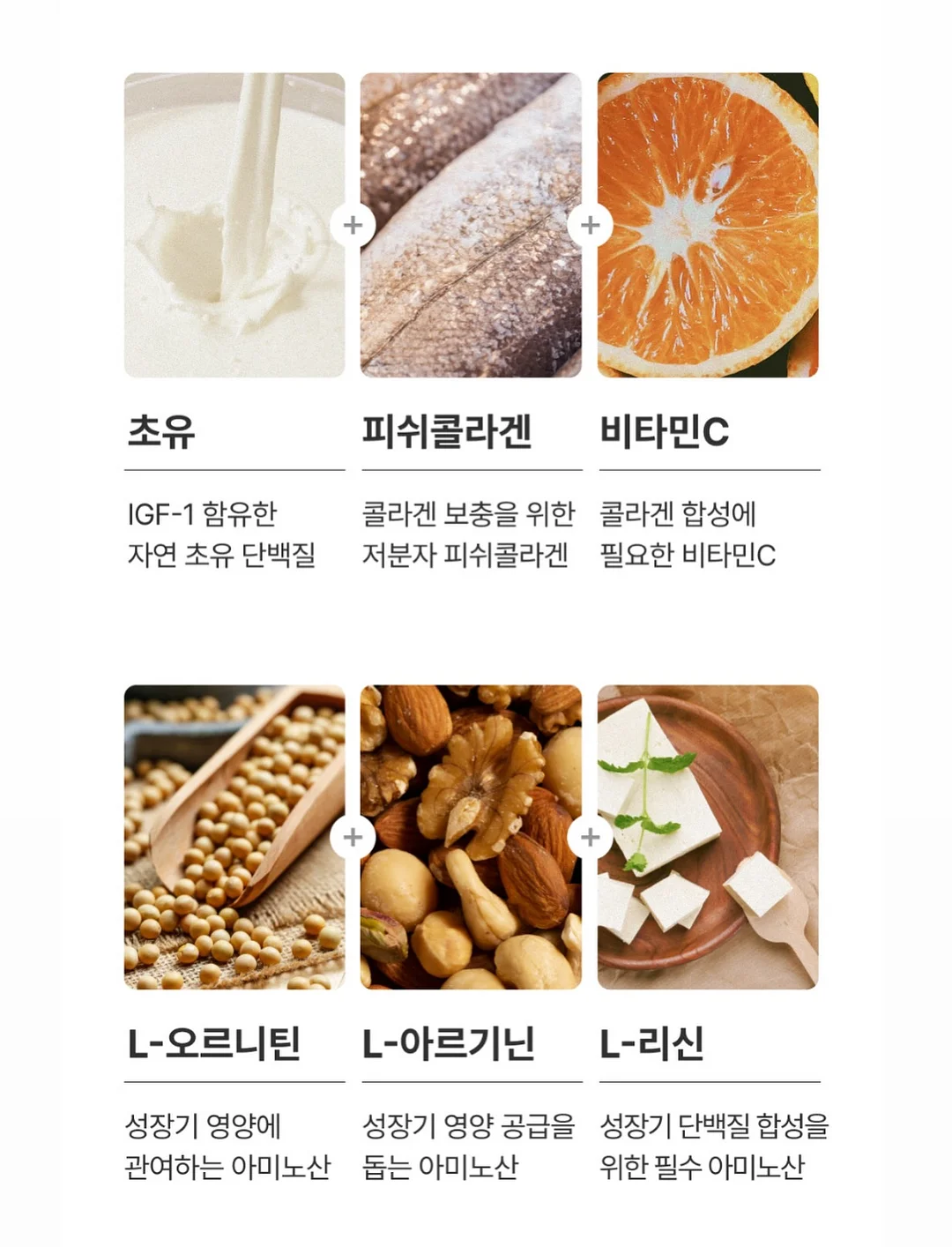 바사삭 애견 먹태 19