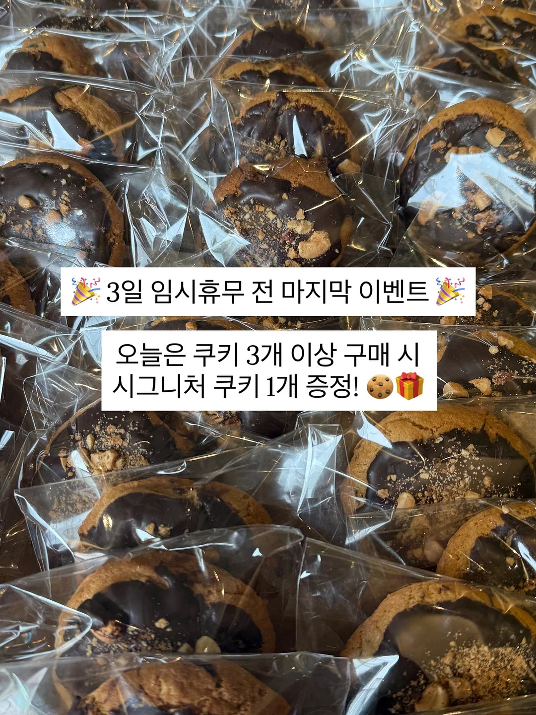액티브라인 썸머아이템