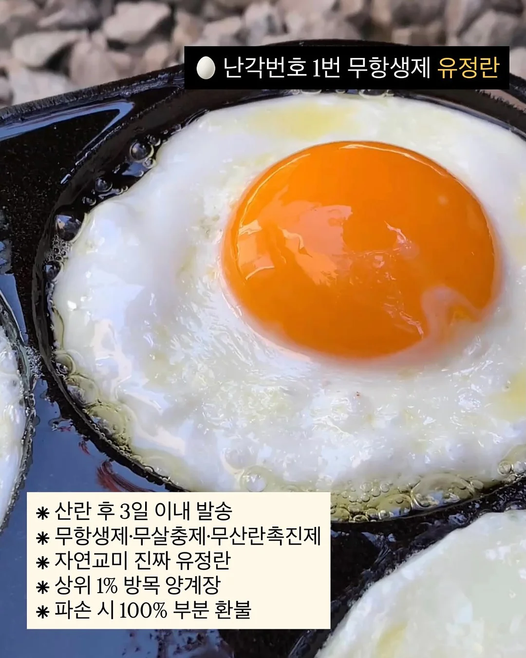몰입 노트 11