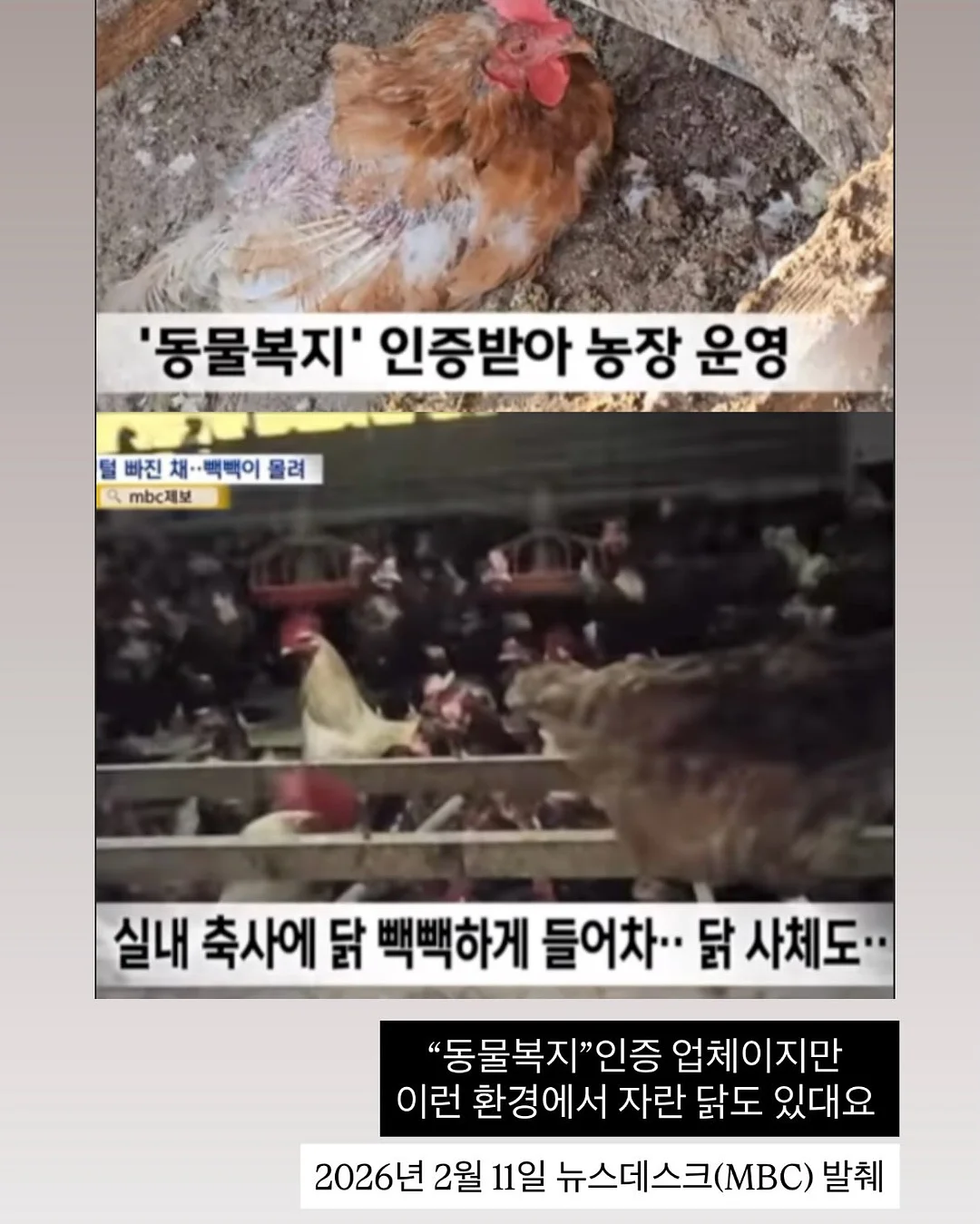 몰입 노트 14