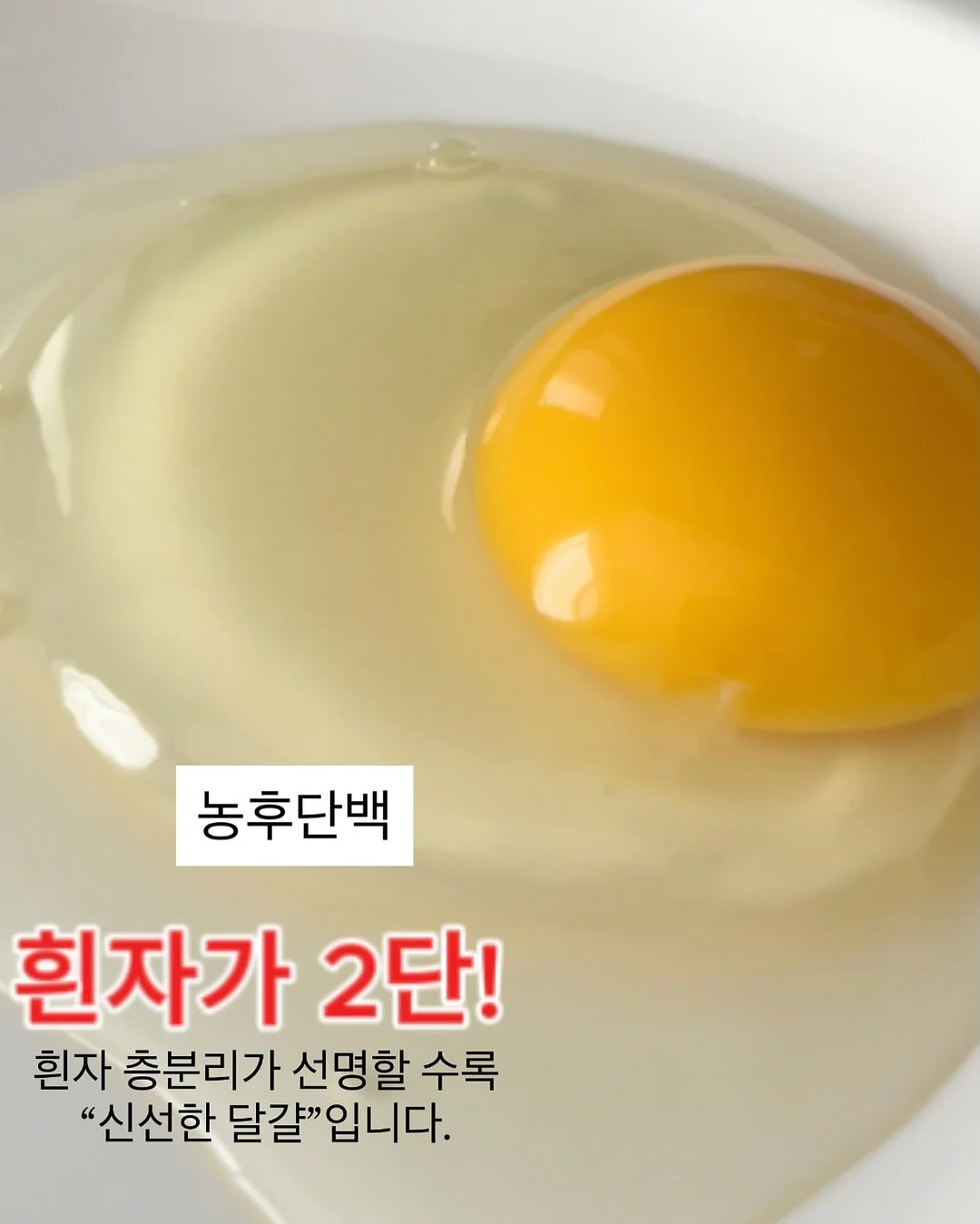 몰입 노트 17