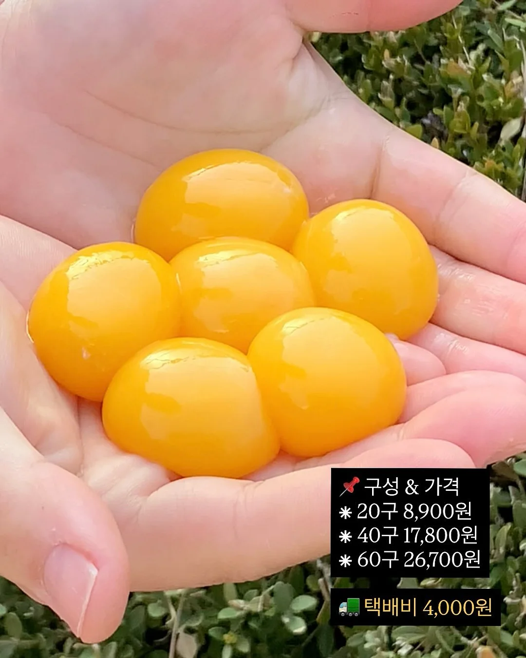 몰입 노트 20