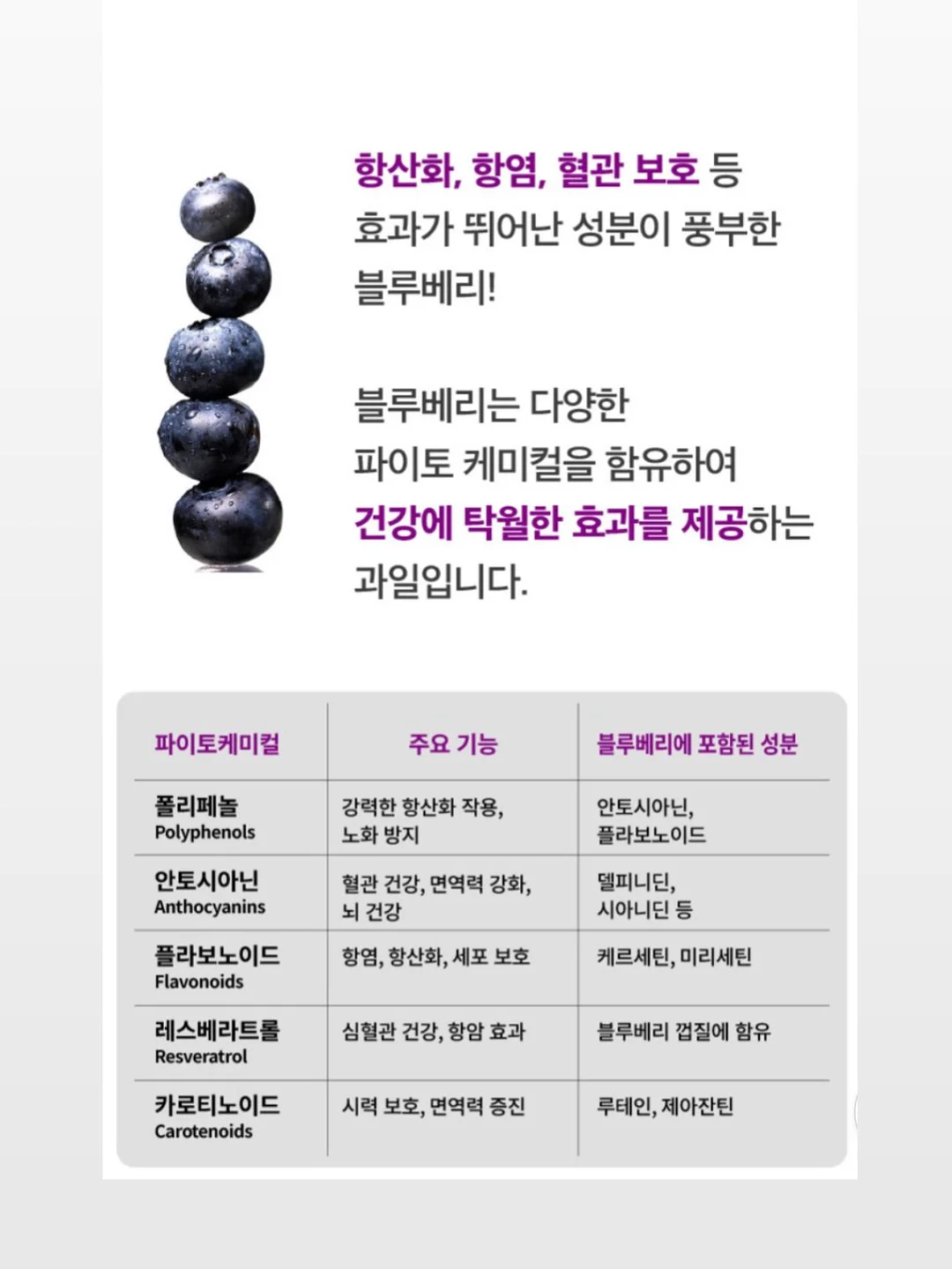 금양피싱 낚싯대 뒤마개 14