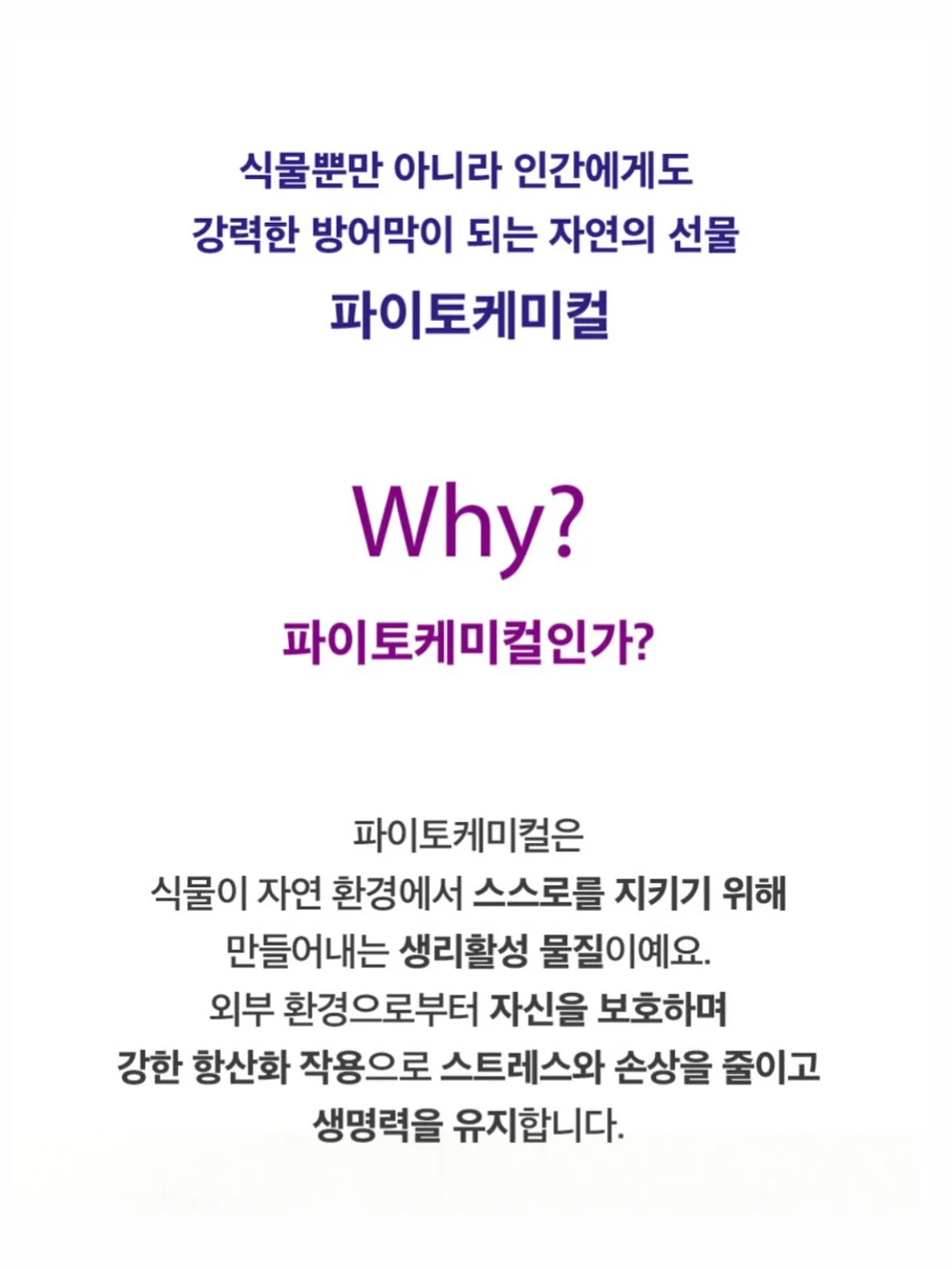 금양피싱 낚싯대 뒤마개 19