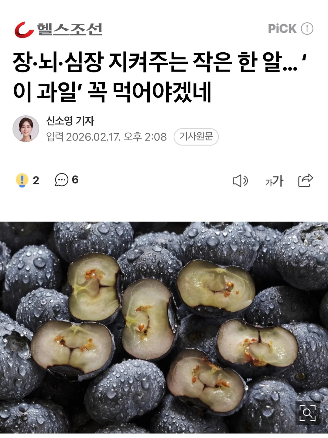 금양피싱 낚싯대 뒤마개 20
