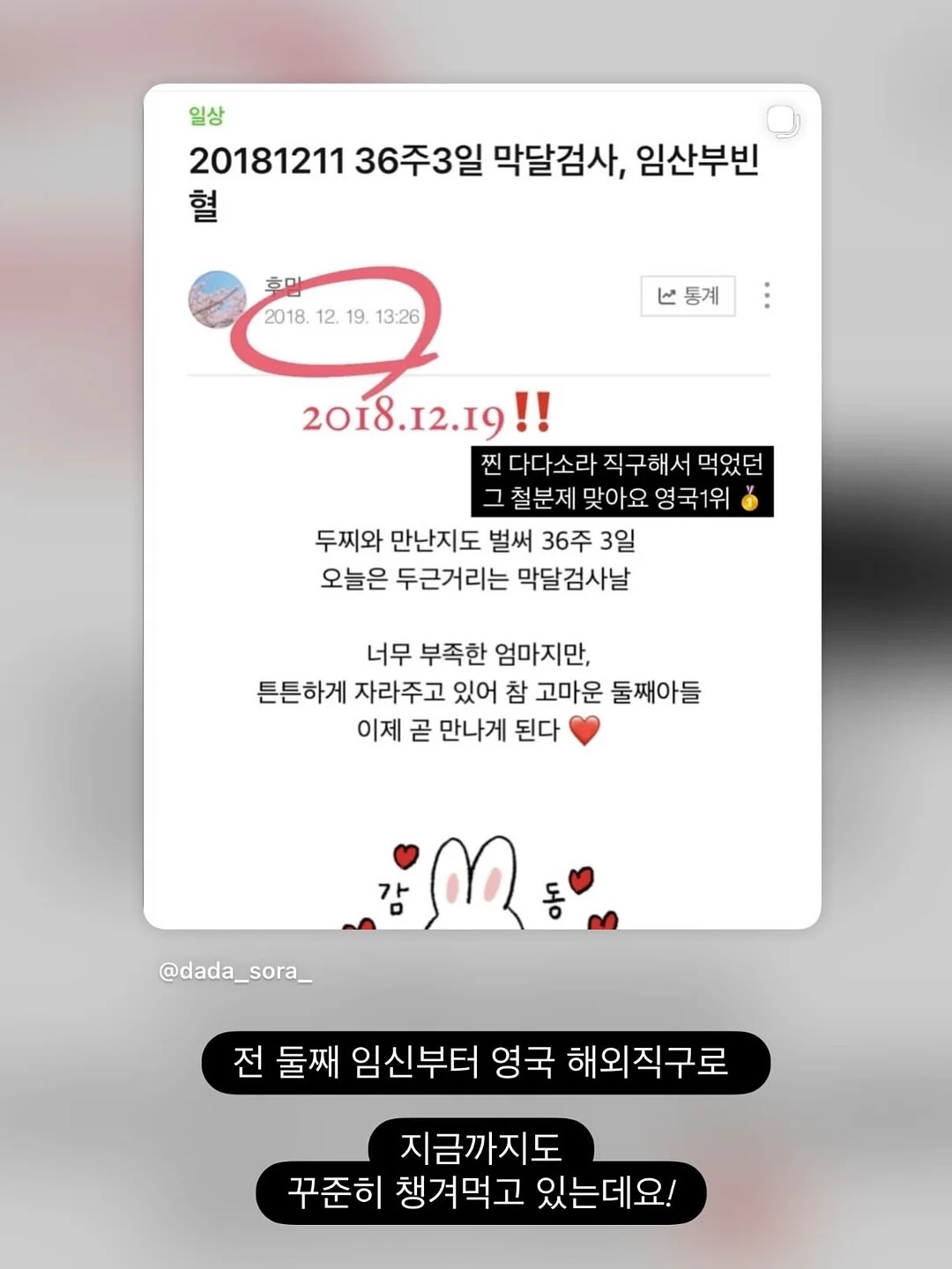 찌니빵 베스트셀러 박스 5