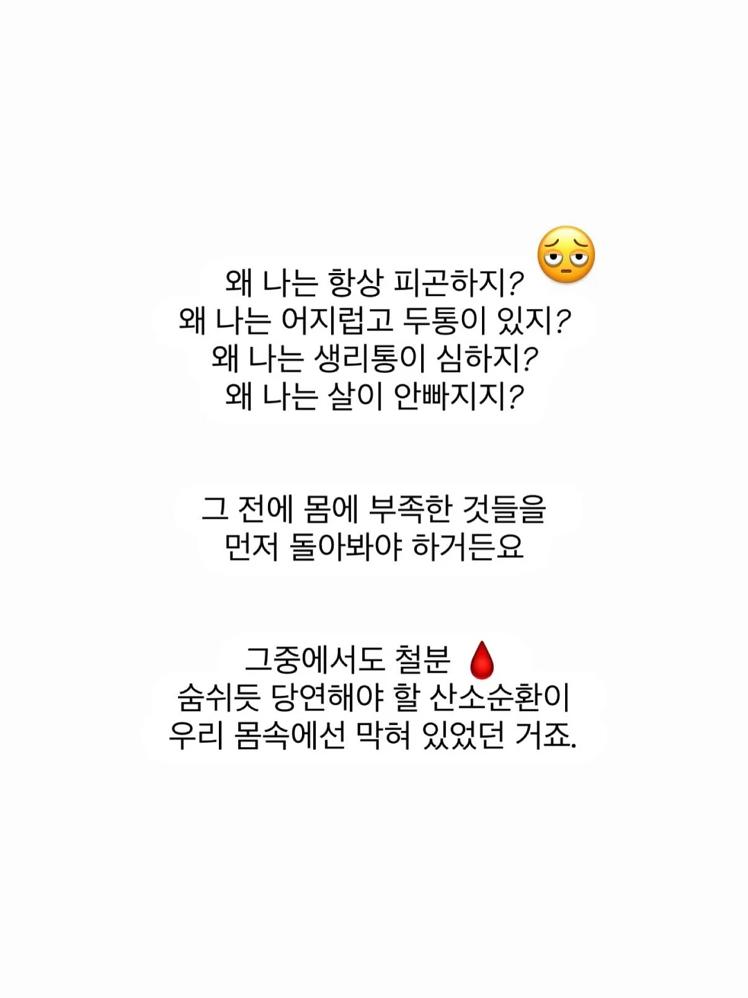 찌니빵 베스트셀러 박스 10