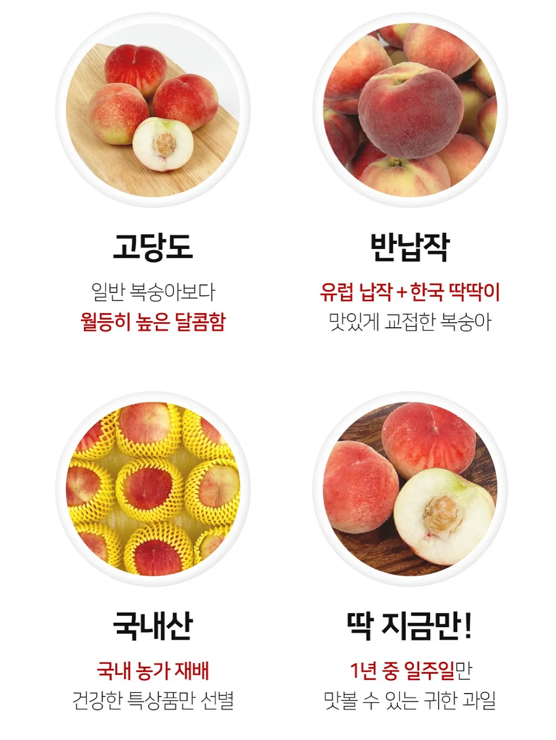 영상 관련 제품 11