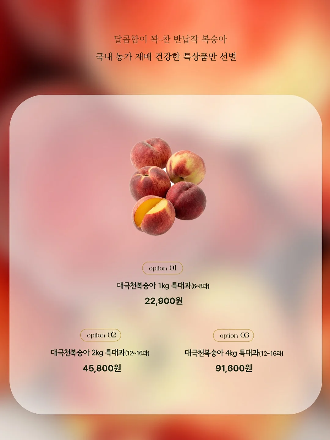 영상 관련 제품 12