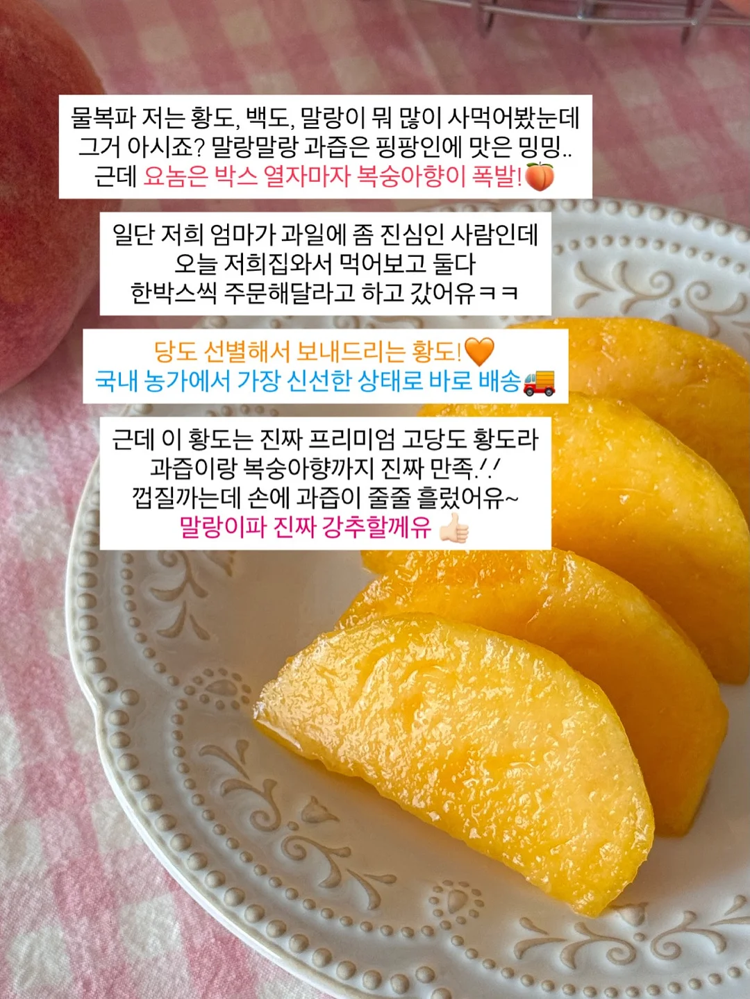 영상 관련 제품 14