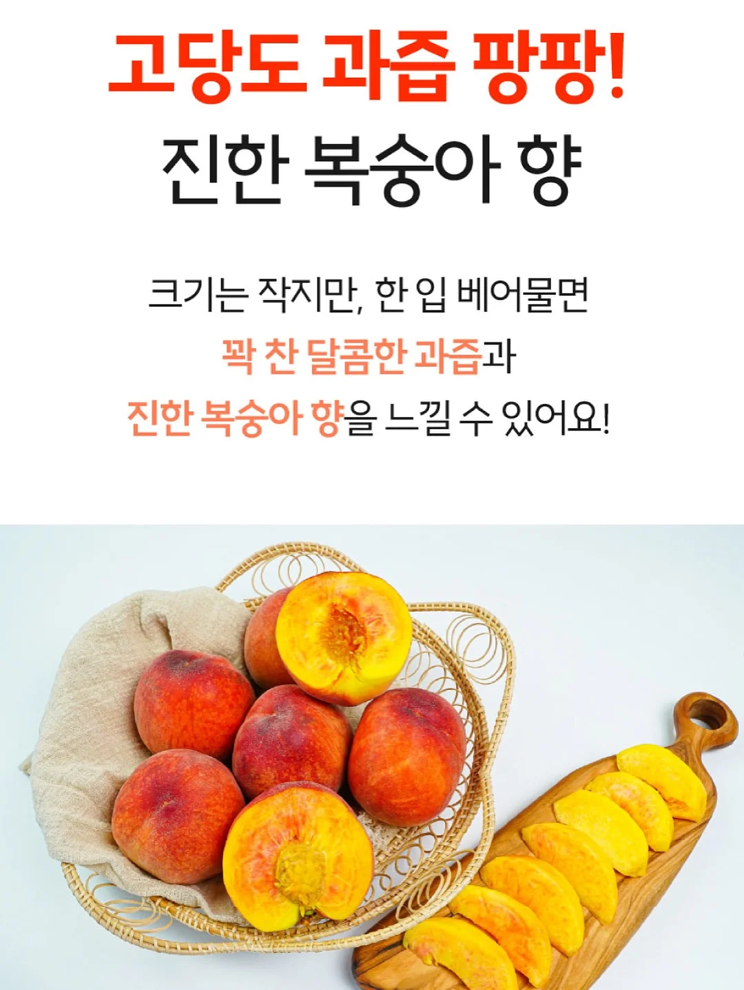 영상 관련 제품 16