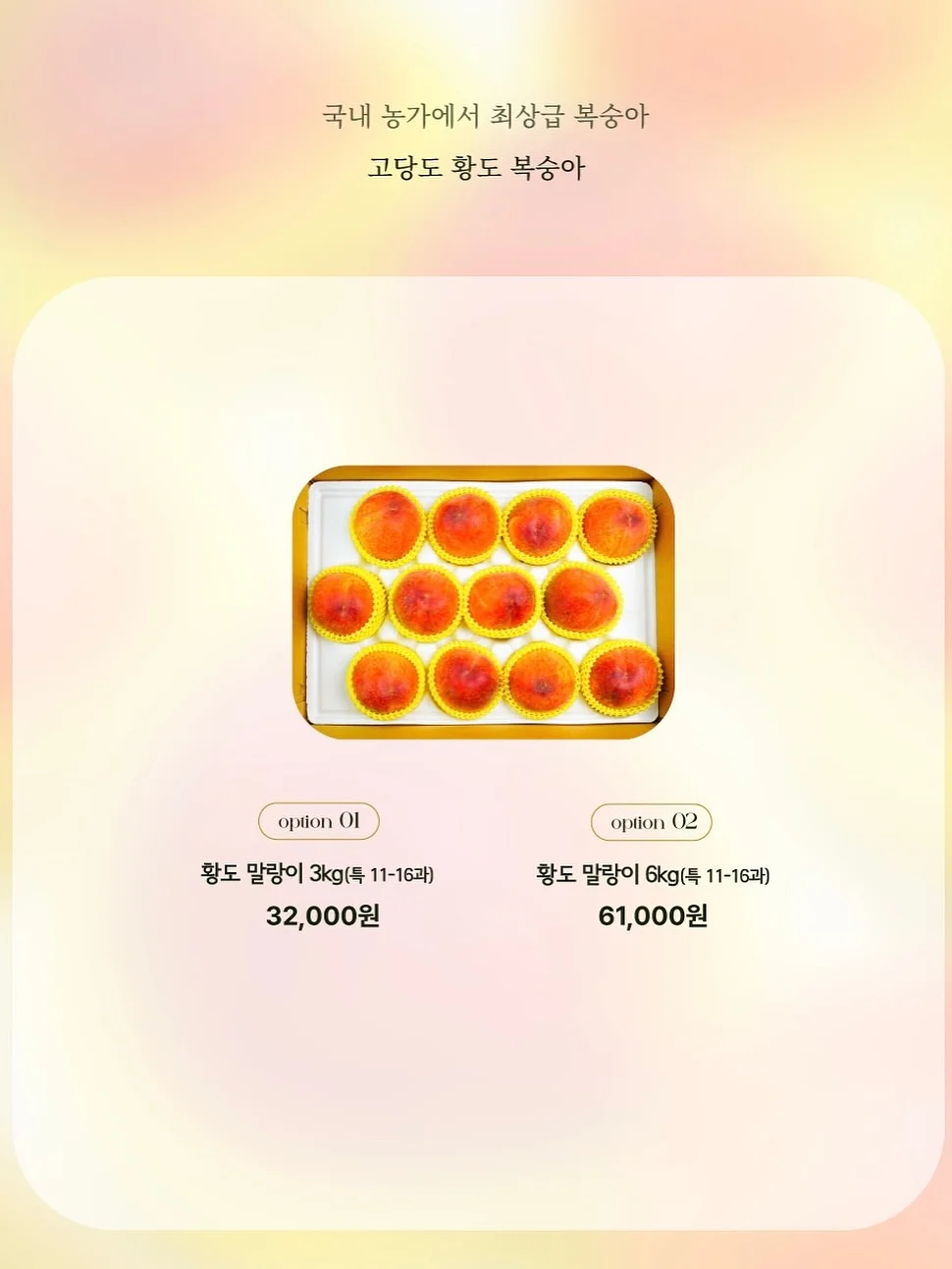 영상 관련 제품 17