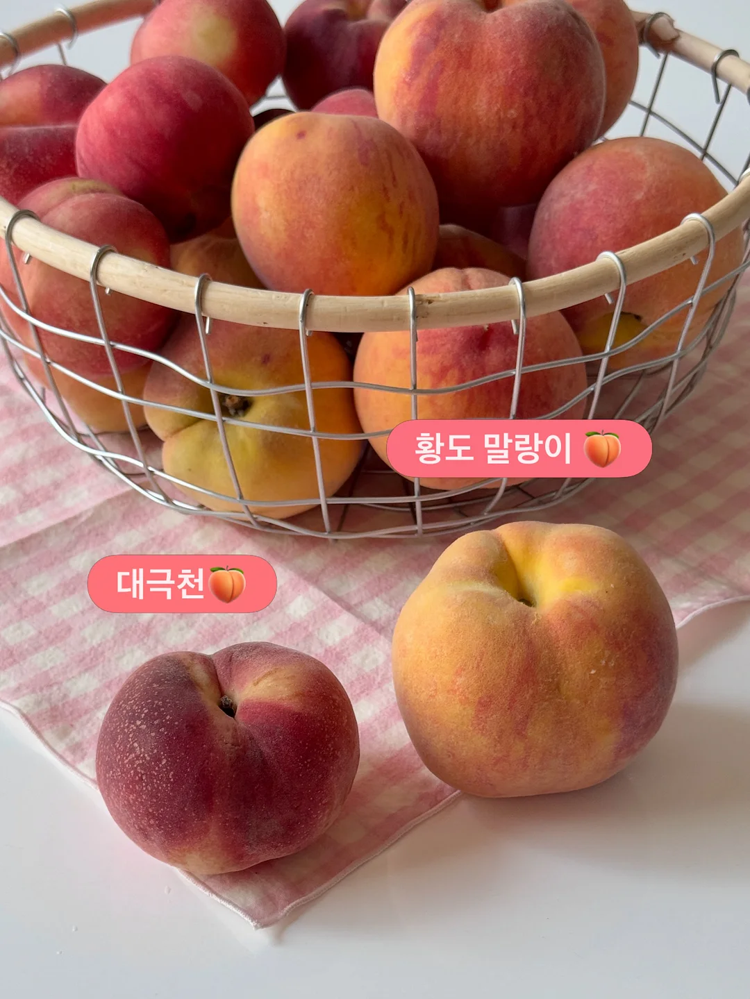 영상 관련 제품 19