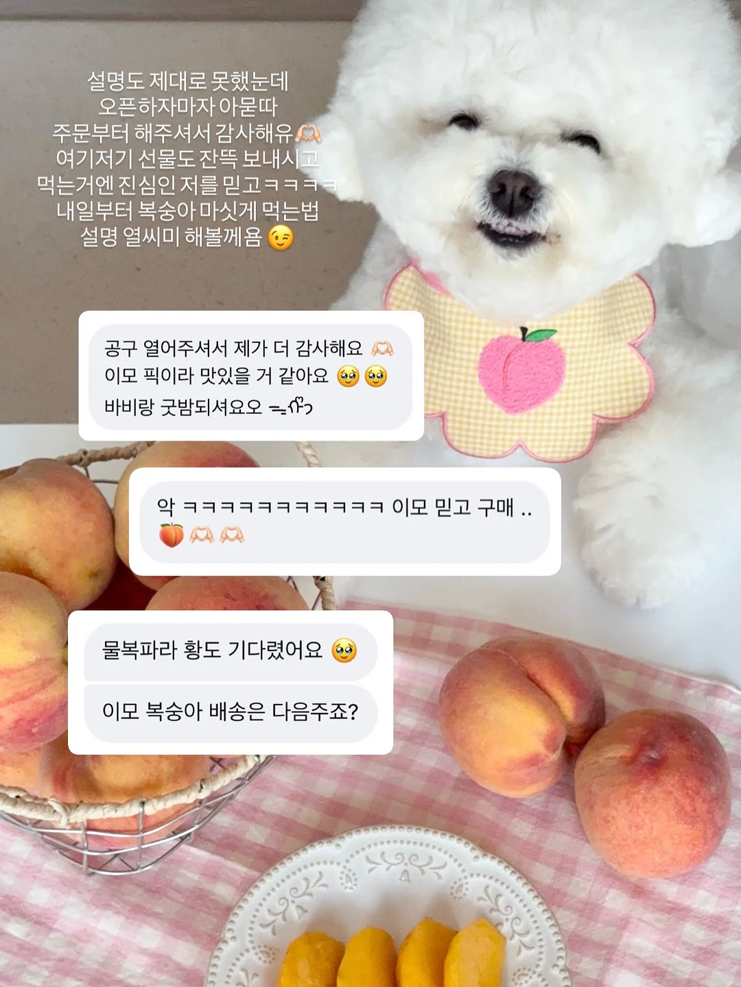 영상 관련 제품 3